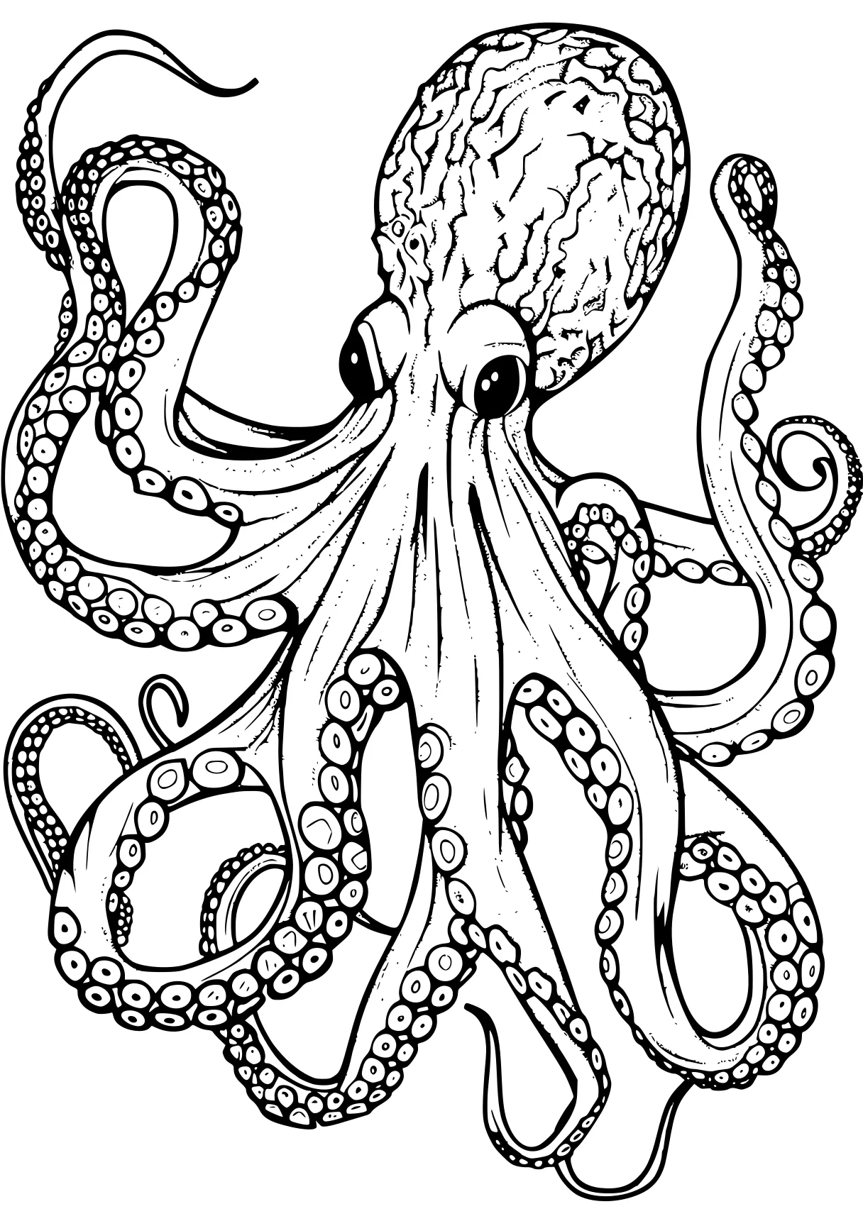 octopus coloring page octopus, zentangle, illustrator, free downloads