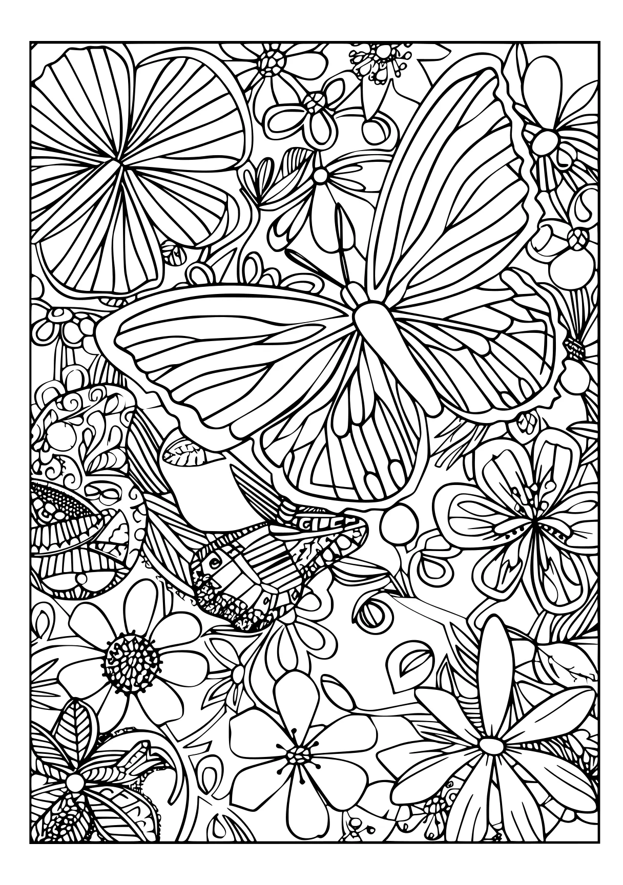 adult coloring book pages, zentangle, butterflies, butterfly, free page downloads