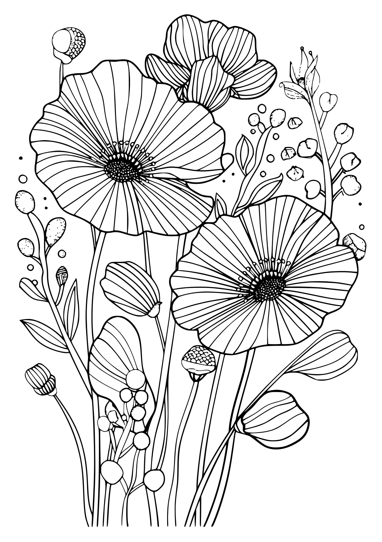 floral coloring pages, zentangle, flowers, flower, free page downloads