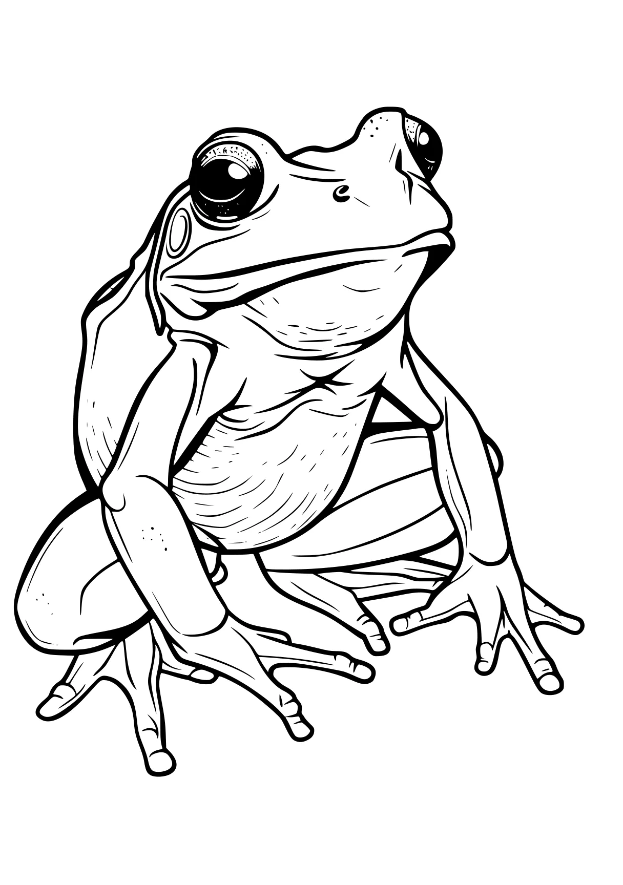 frog coloring sheet frog, toad, pet, turtle, illustrator, free page downloads