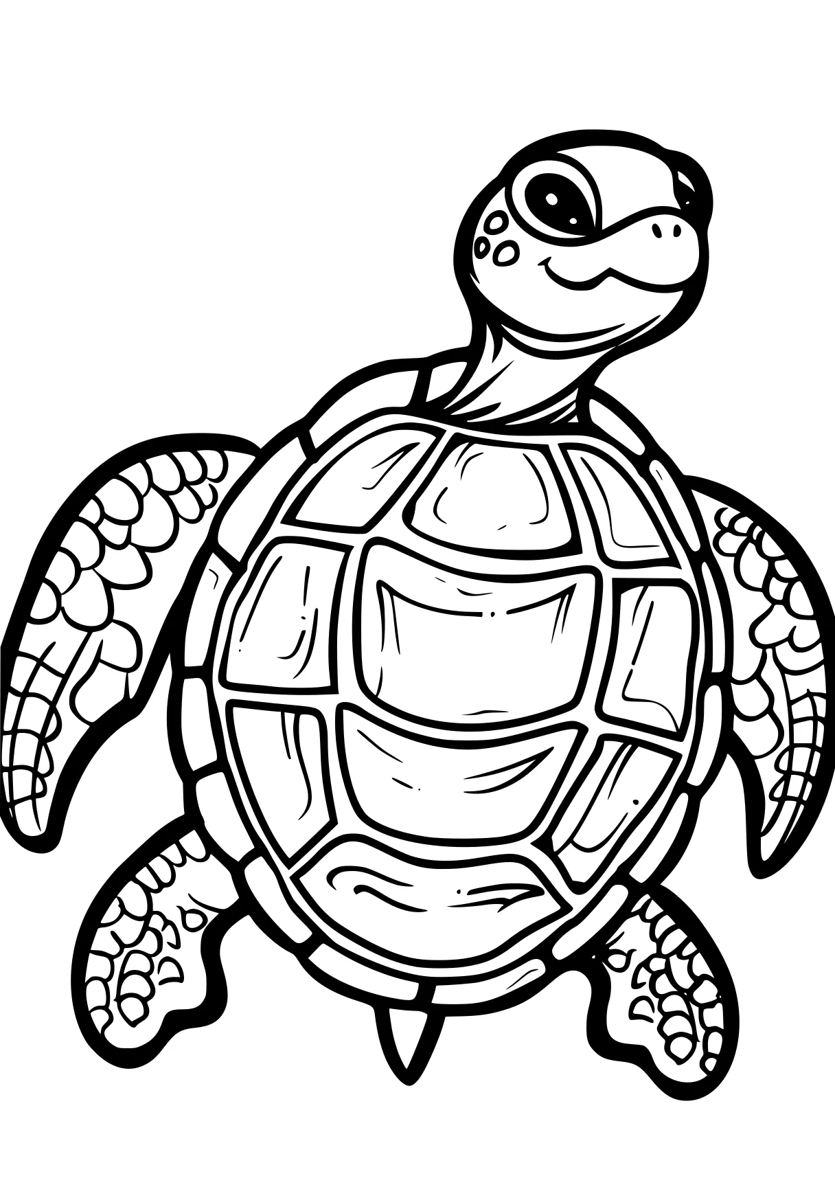 turtle coloring sheet turtle, squirtle, turtles, free page downloads