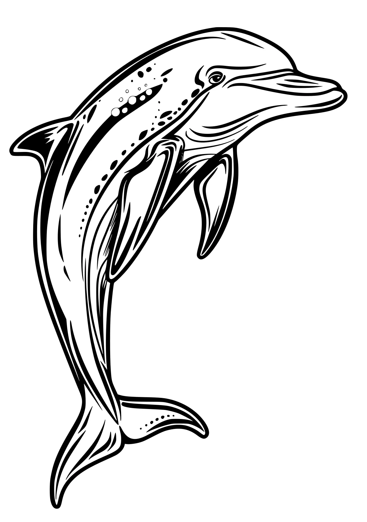 dolphin coloring pages fish, dolphin, whale, narwhal, orca, free page downloads