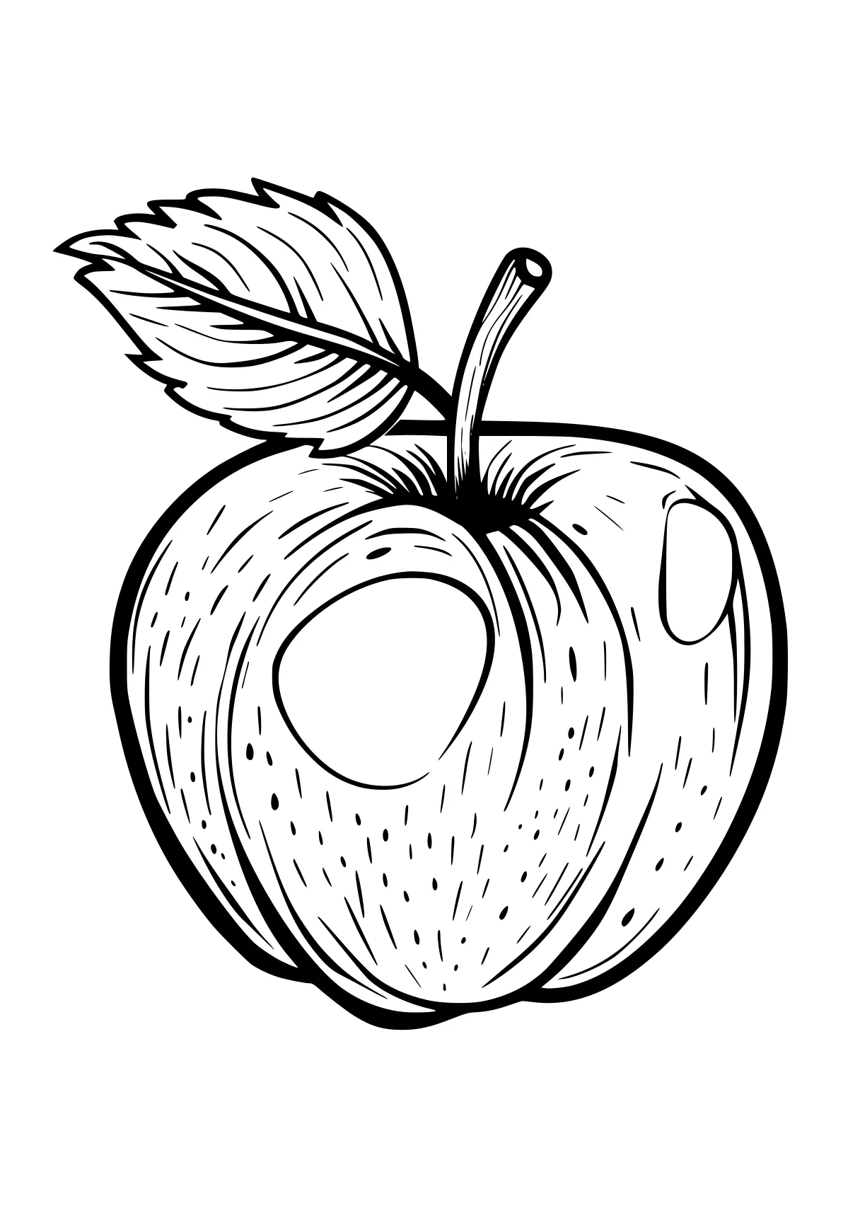 apple coloring sheet apple, acorn, illustrator, a4, fruit, free page downloads