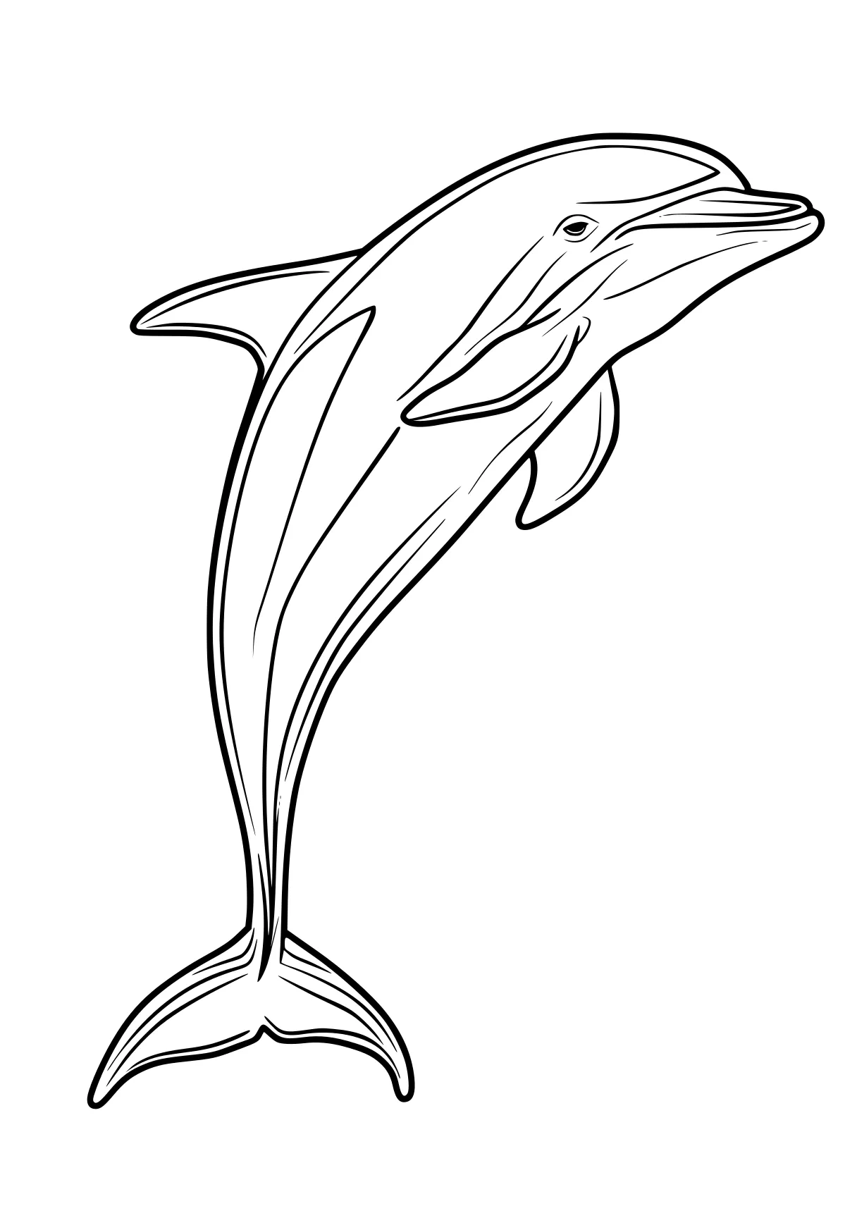 dolphin coloring sheet dolphin, orca, whale, narwhal, mosasaurus, free page downloads