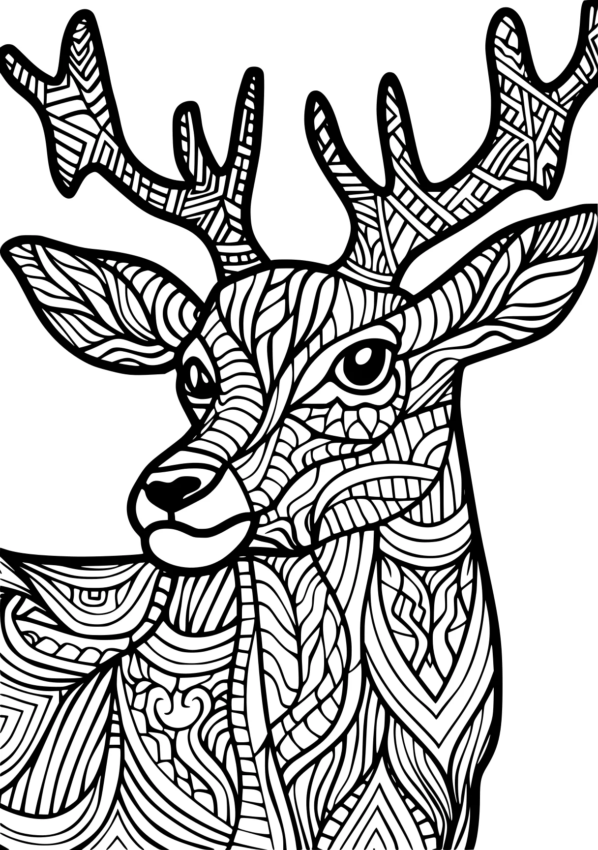 animal coloring pages for adults deer, colouring, illustrator, free page downloads