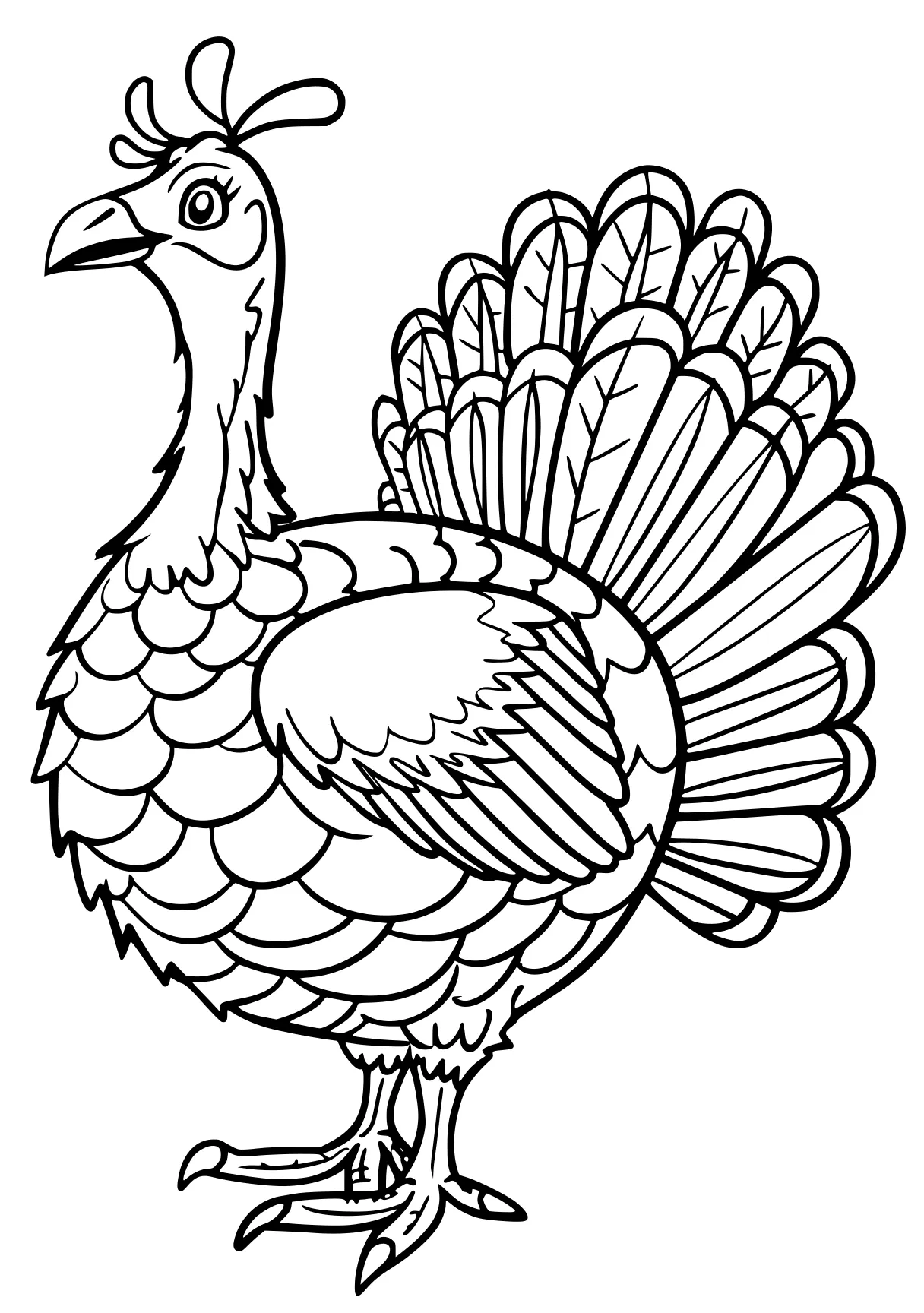 turkey coloring rooster, thanksgiving, turkey, free page downloads