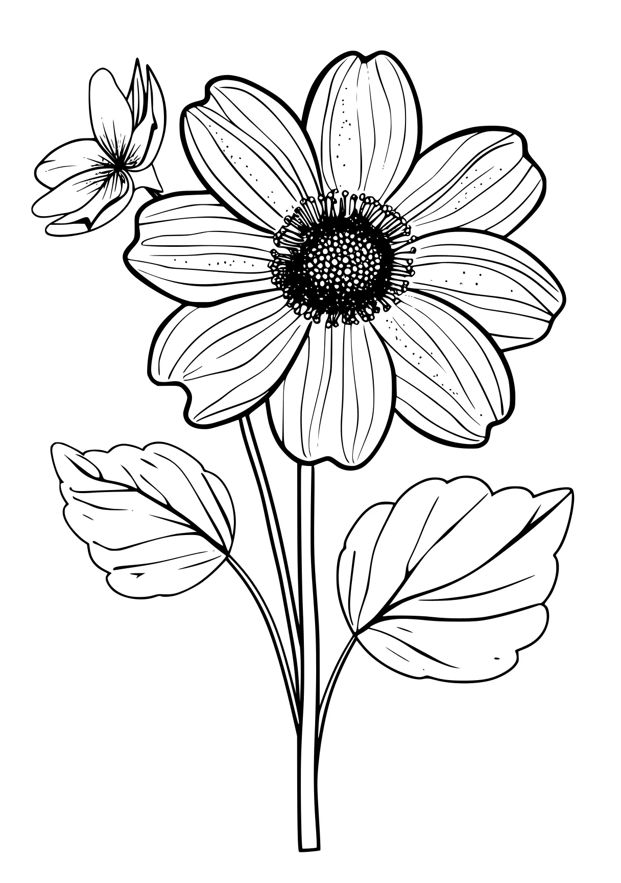 flower coloring pages for adults, flower, flowers, sunflower, free page downloads