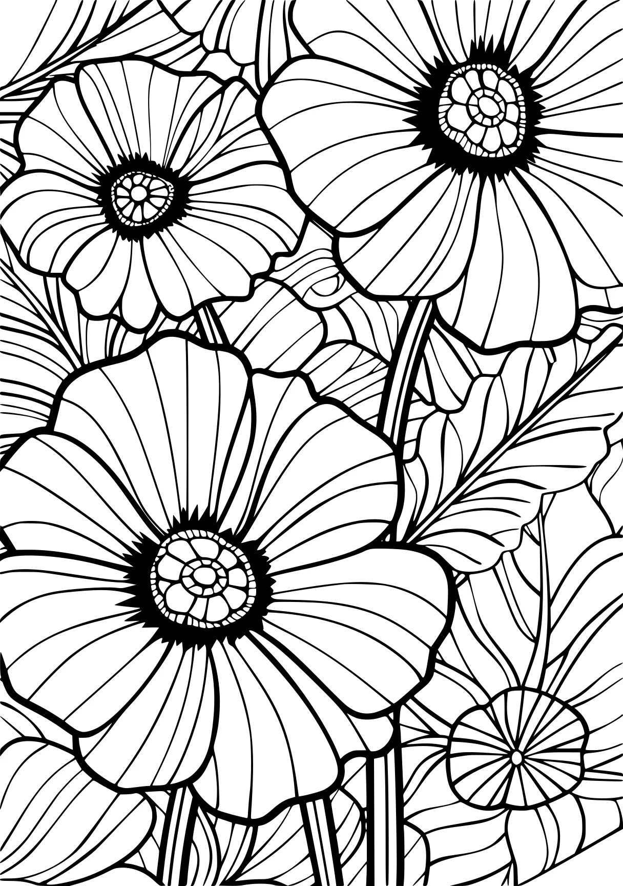 flower coloring pages, zentangle, pattern, patterns, free page downloads