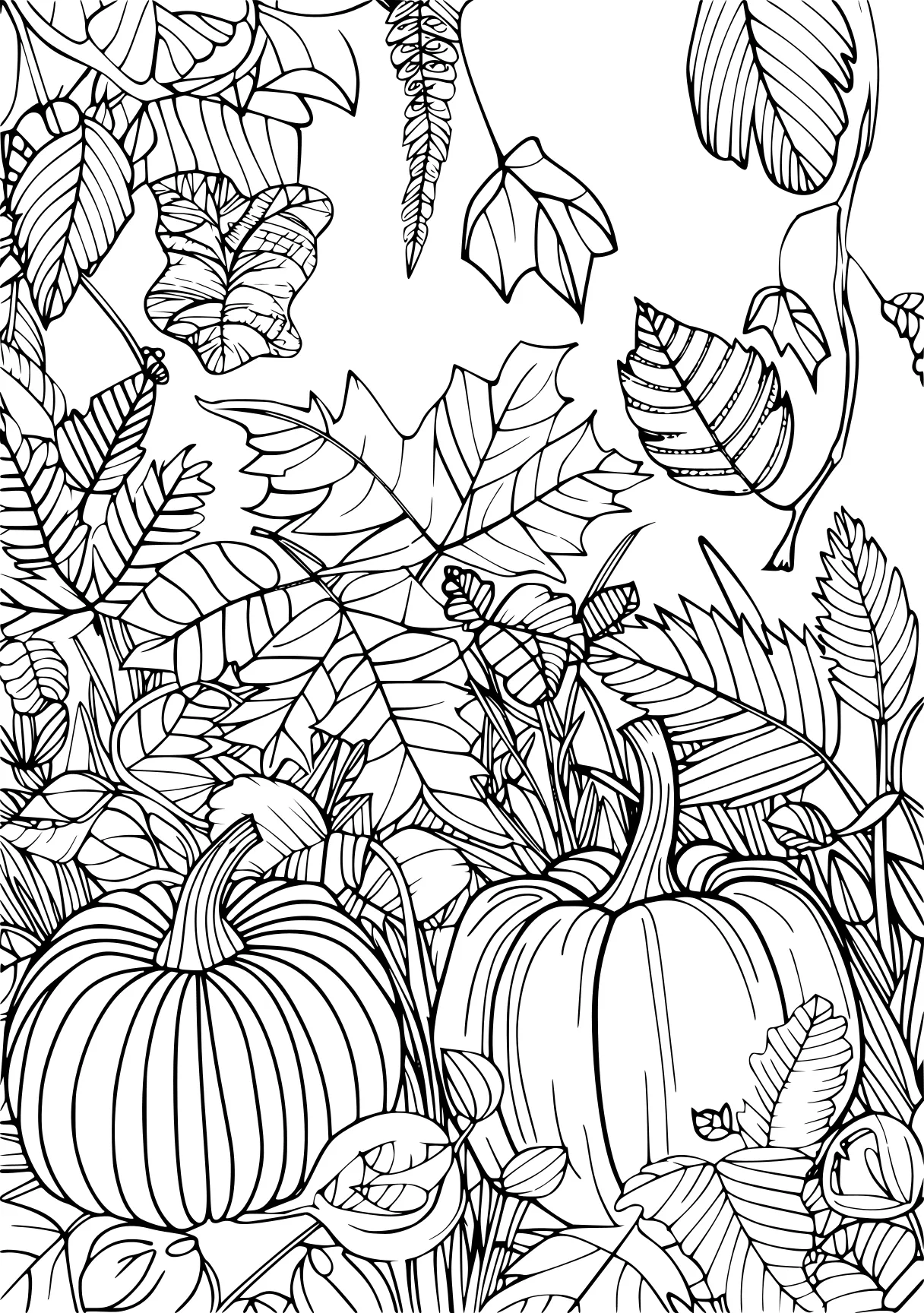 coloring pages for autumn, fall, october, pumpkin, free page downloads