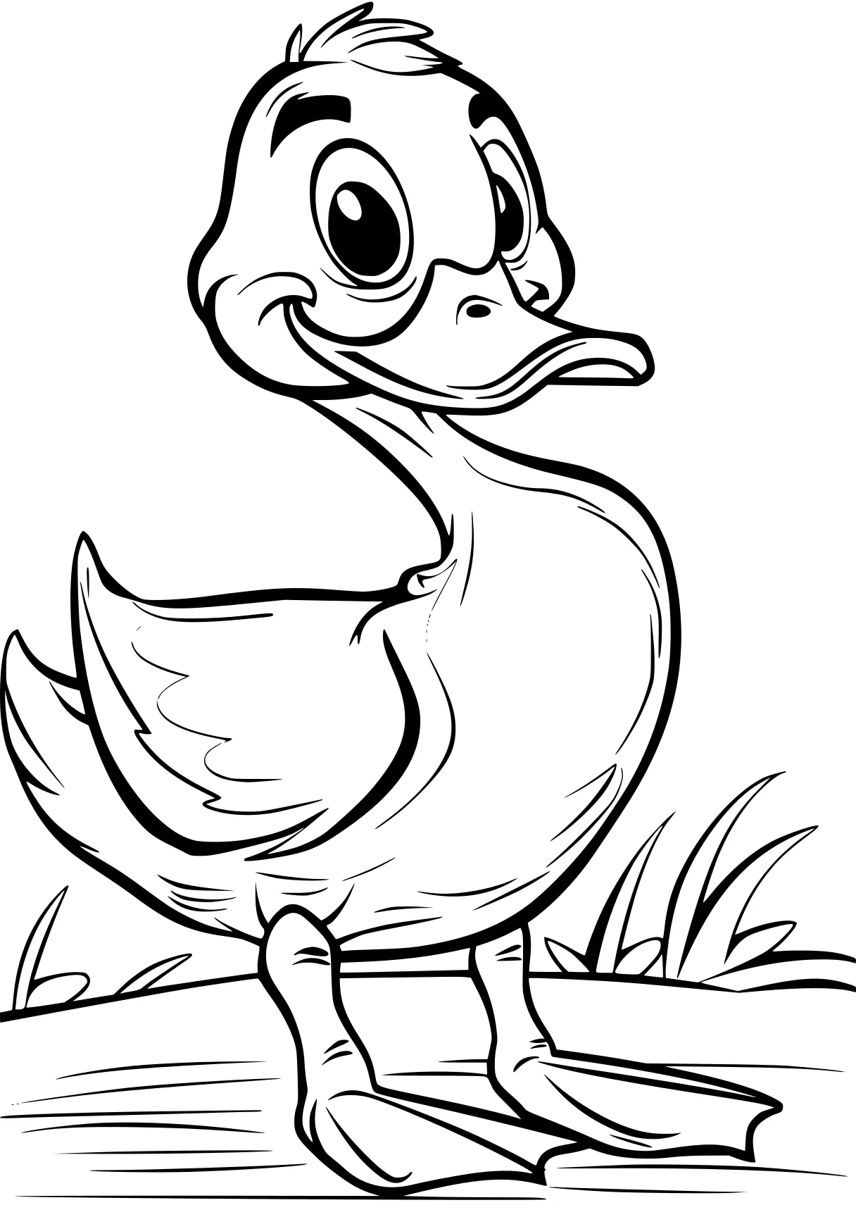 duck coloring page duck, chick, bird, donald, birds, free downloads