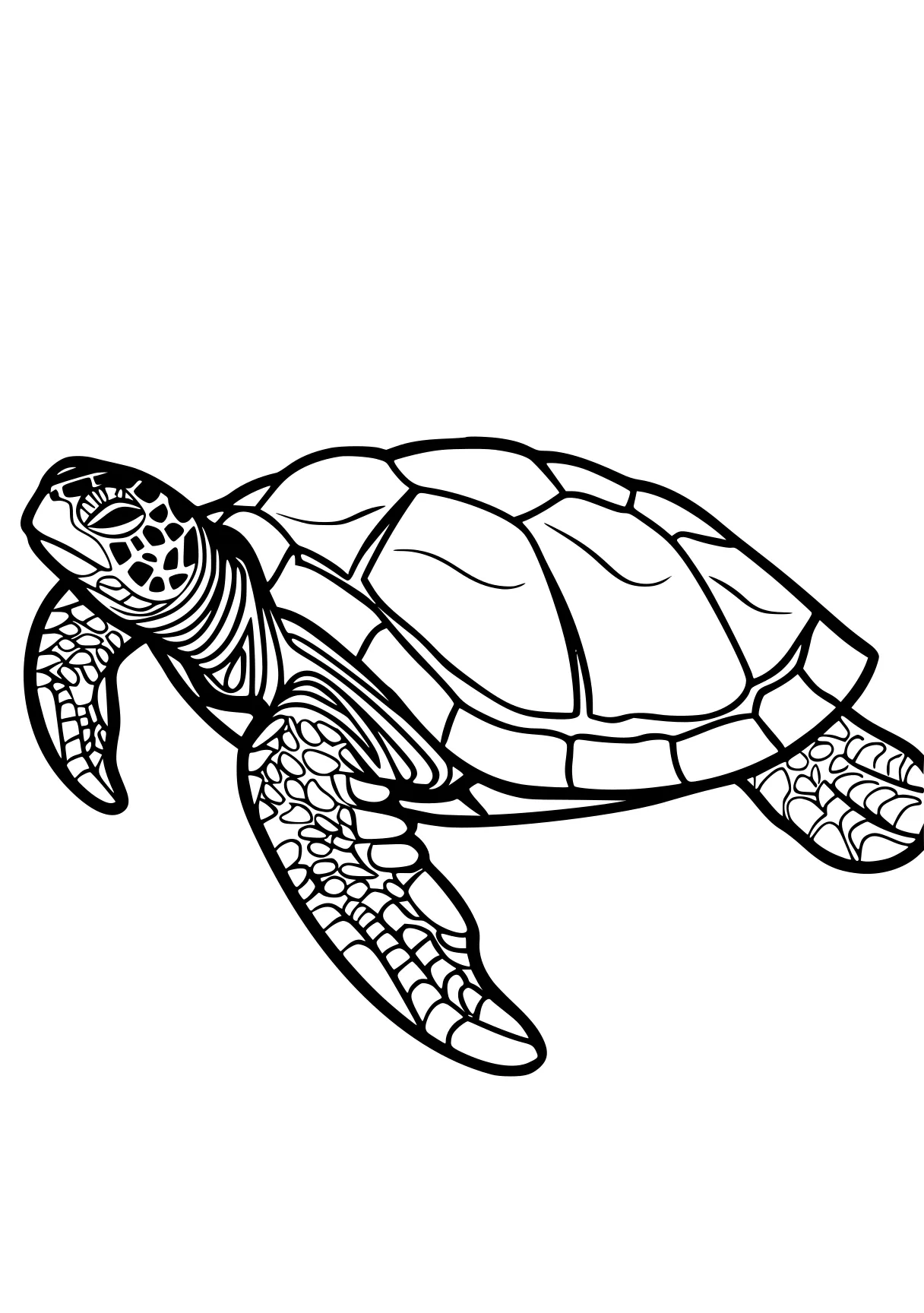 turtle coloring sheet turtle, turtles, patrol, ankylosaurus, blastoise, free page downloads