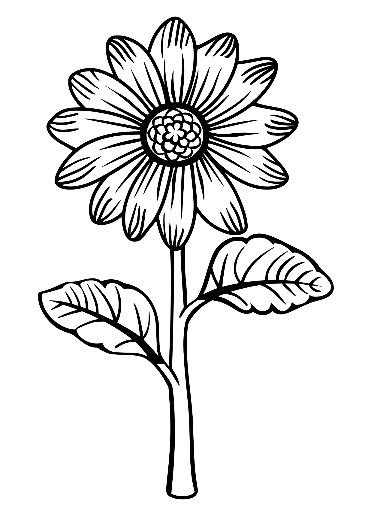 printable flower coloring pages flower, flowers, plant, sunflower, free page downloads