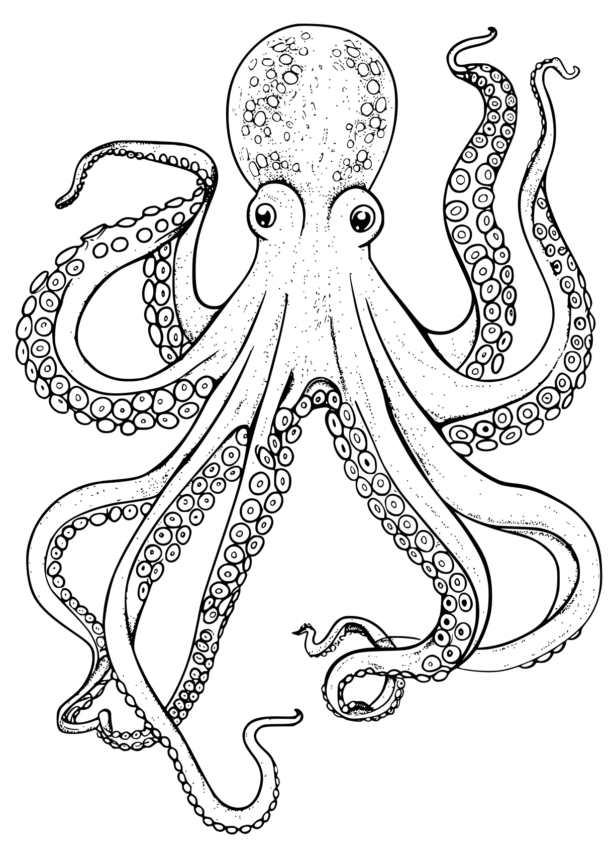 octopus coloring page octopus, illustrator, size, free downloads