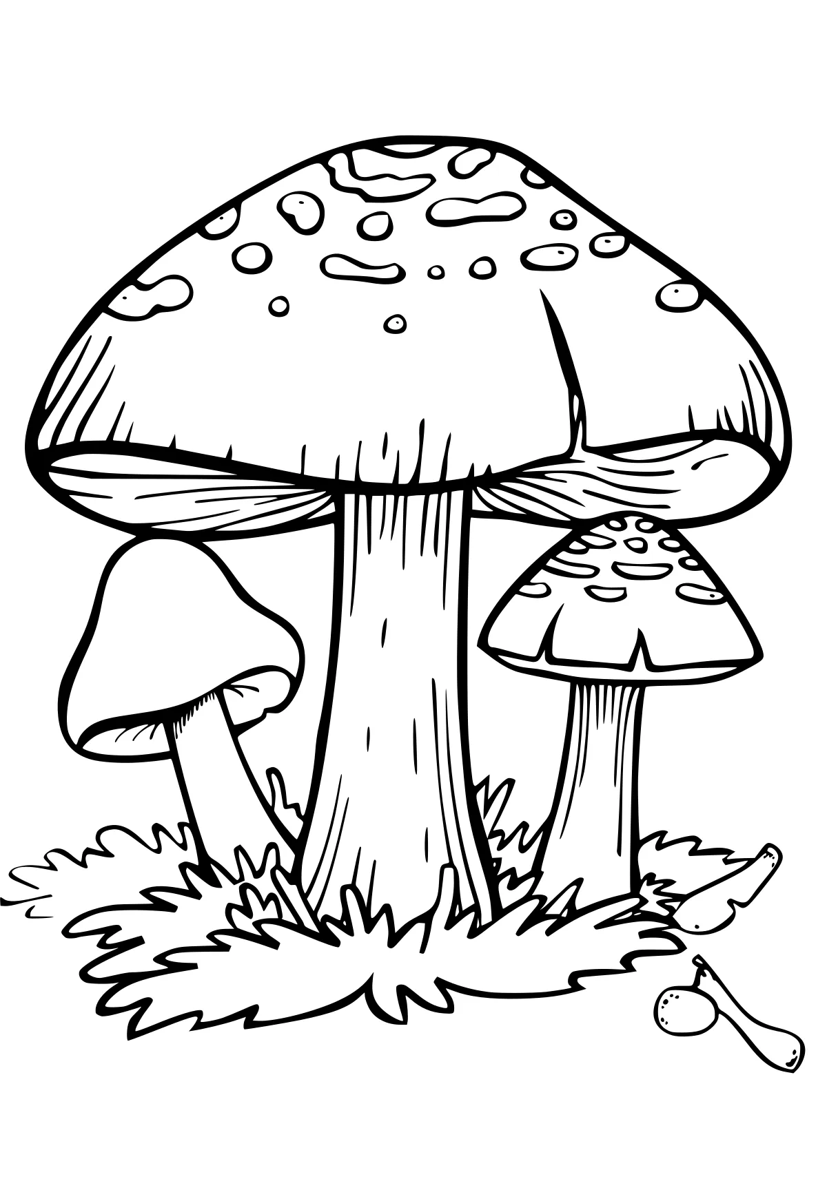 mushroom coloring page mushroom, illustrator, size, free downloads