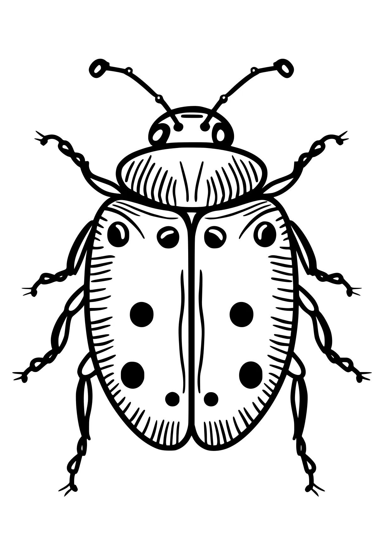 ladybug coloring page insect, insects, bugs, adult, bee, free downloads