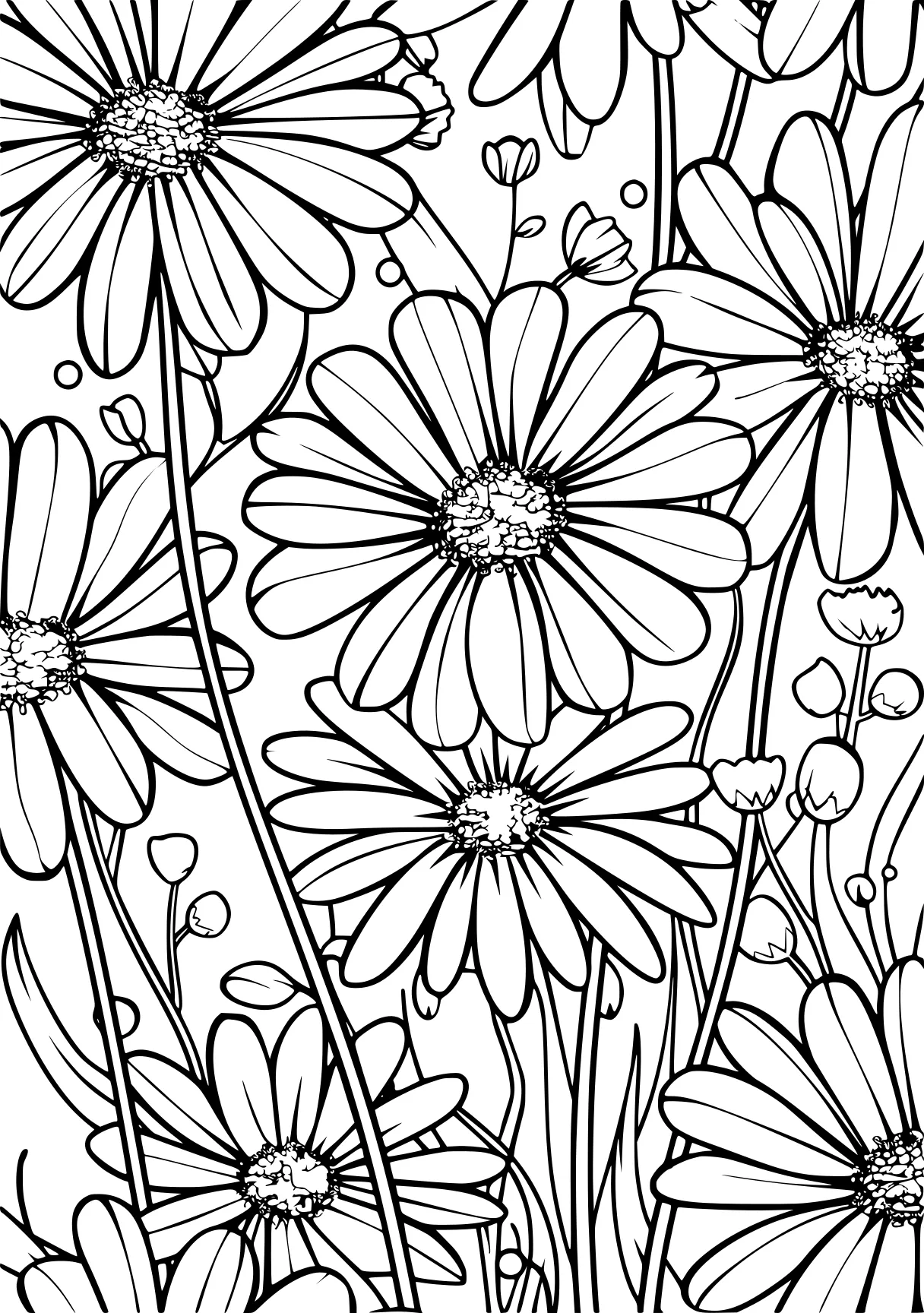 flower coloring sheets, pattern, zentangle, colouring, free page downloads