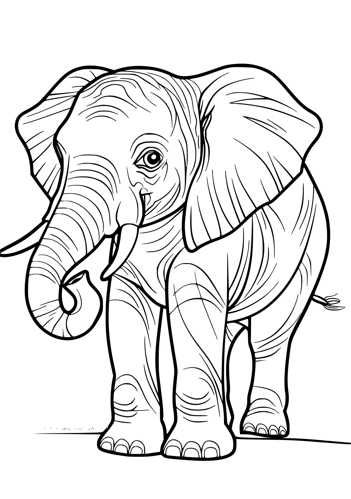 elephant coloring pages elephant, dumbo, illustrator, size, free page downloads