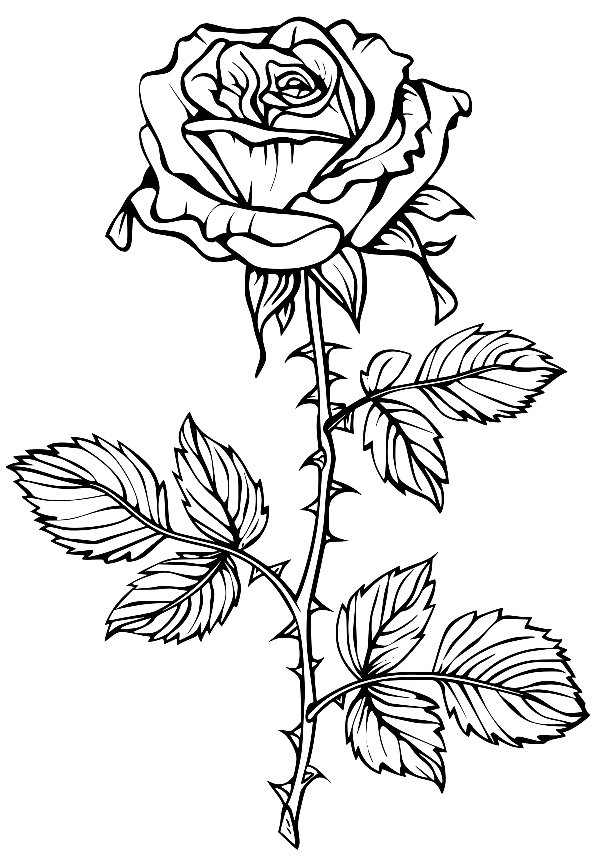 rose coloring pages rosa, rose, flower, free page downloads