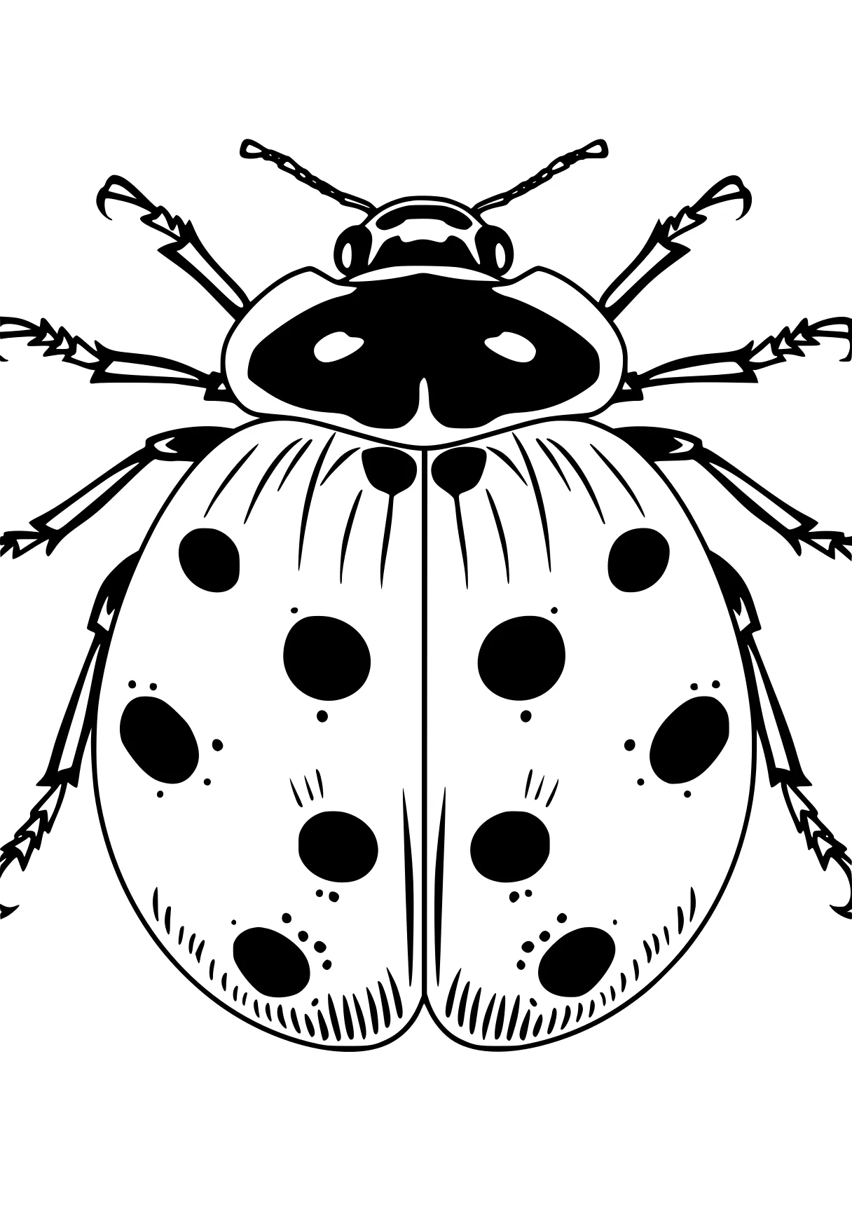 ladybug coloring sheets ladybug, insects, insect, bee, bugs, free page downloads