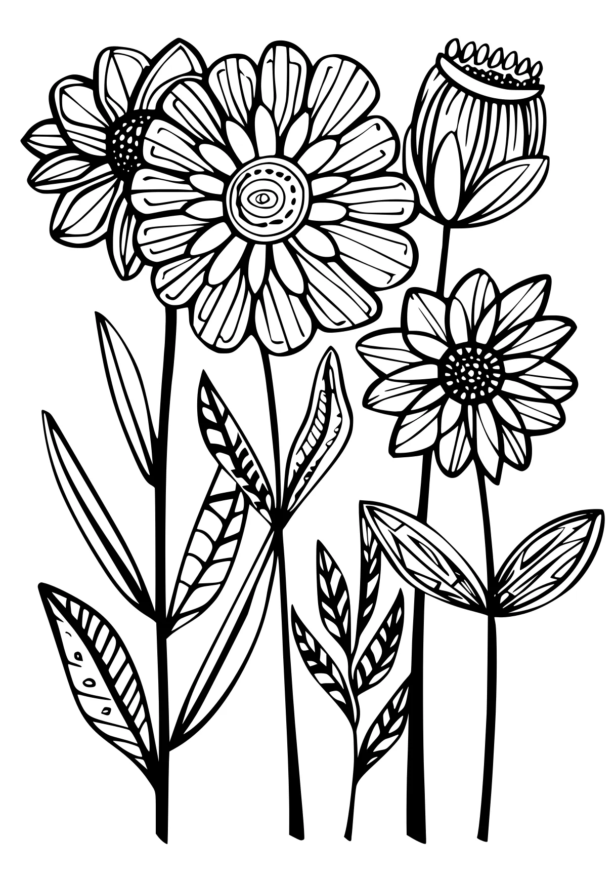 free printable pictures, flowers, zentangle, flower, coloring page downloads