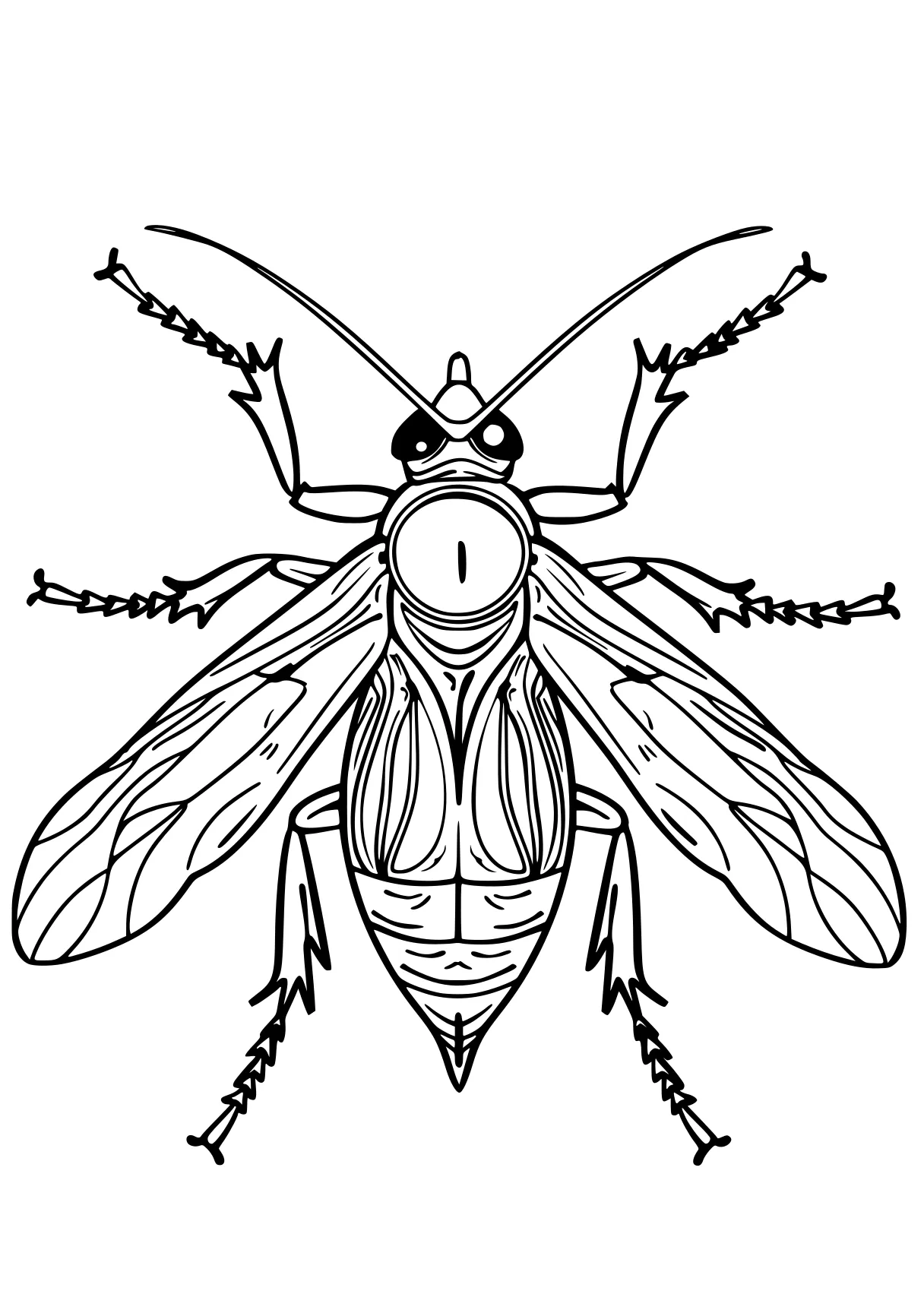 insect coloring pages insect, bee, insects, adult, size, free page downloads