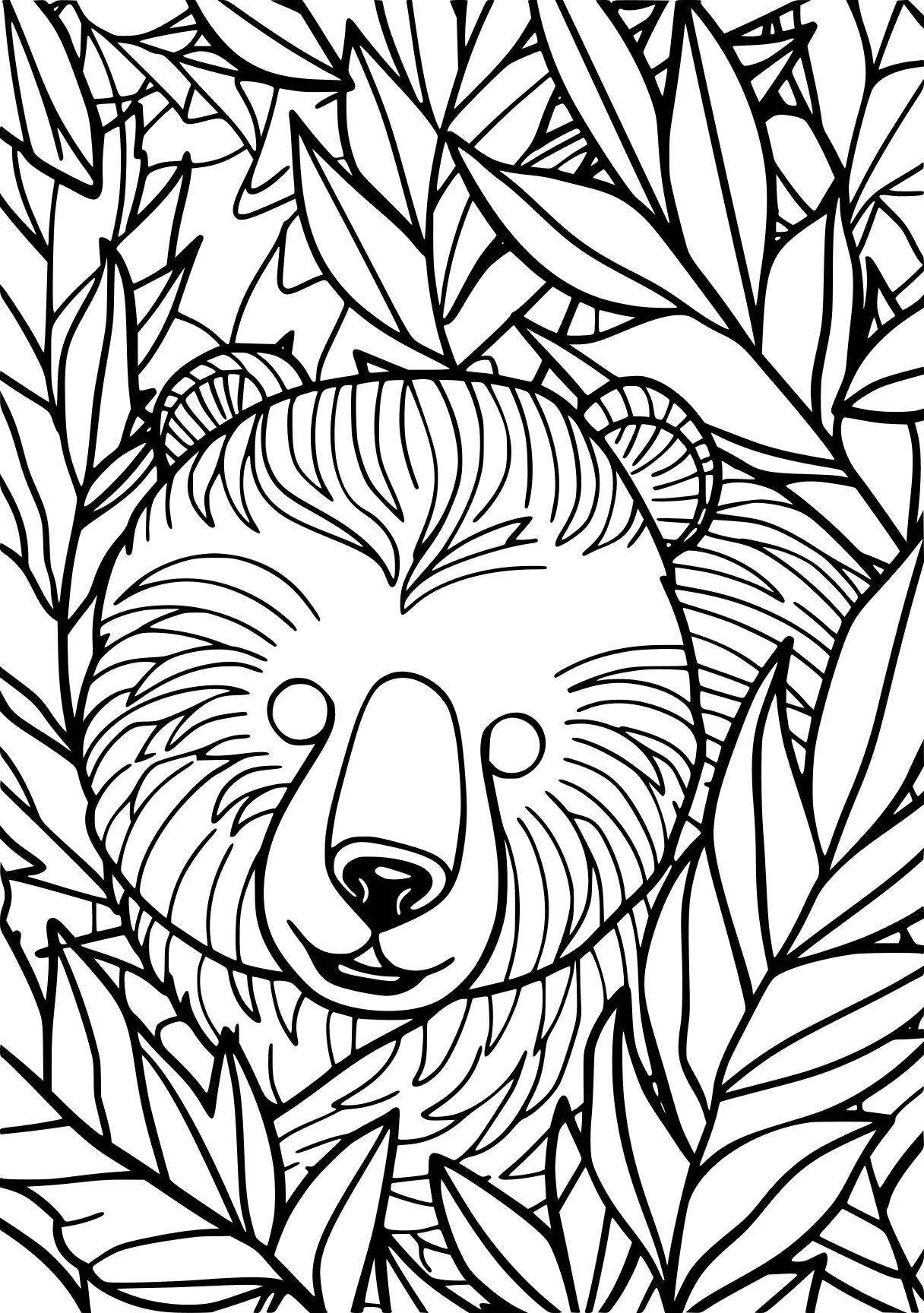 free printable coloring sheets, bear, colouring, koala, page downloads