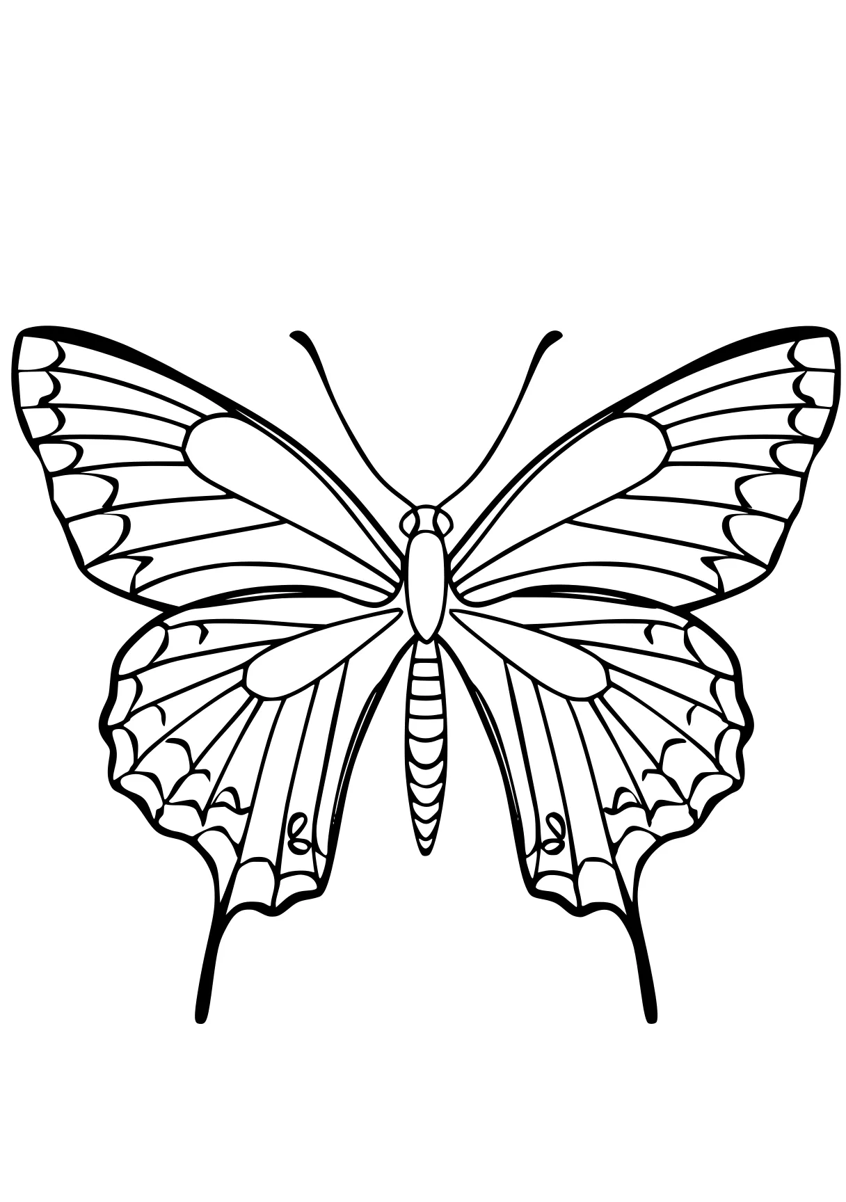 butterfly coloring pages butterfly, insect, butterflies, adult, insects, free page downloads