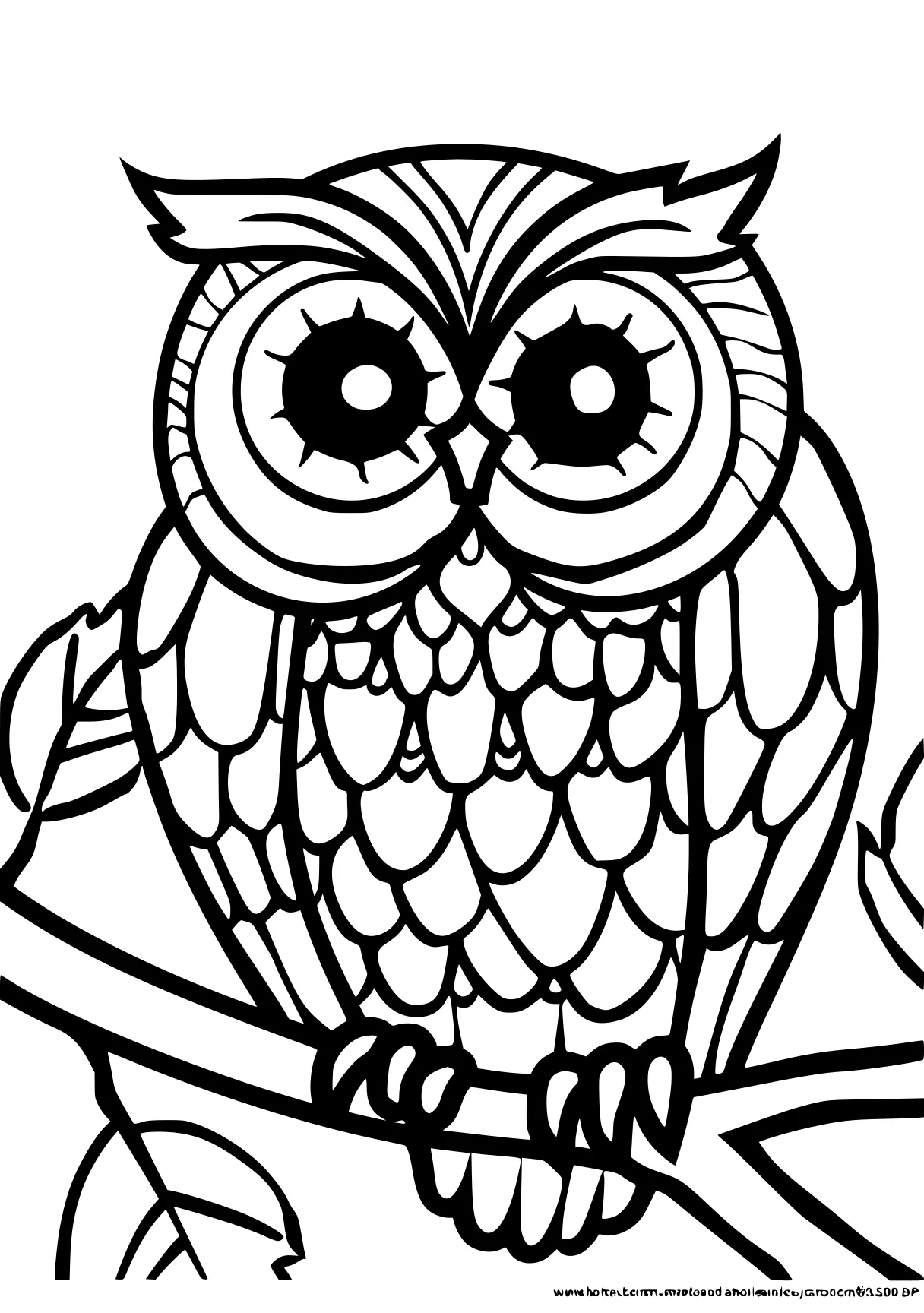 preschool coloring pages owl, illustrator, colouring, free page downloads