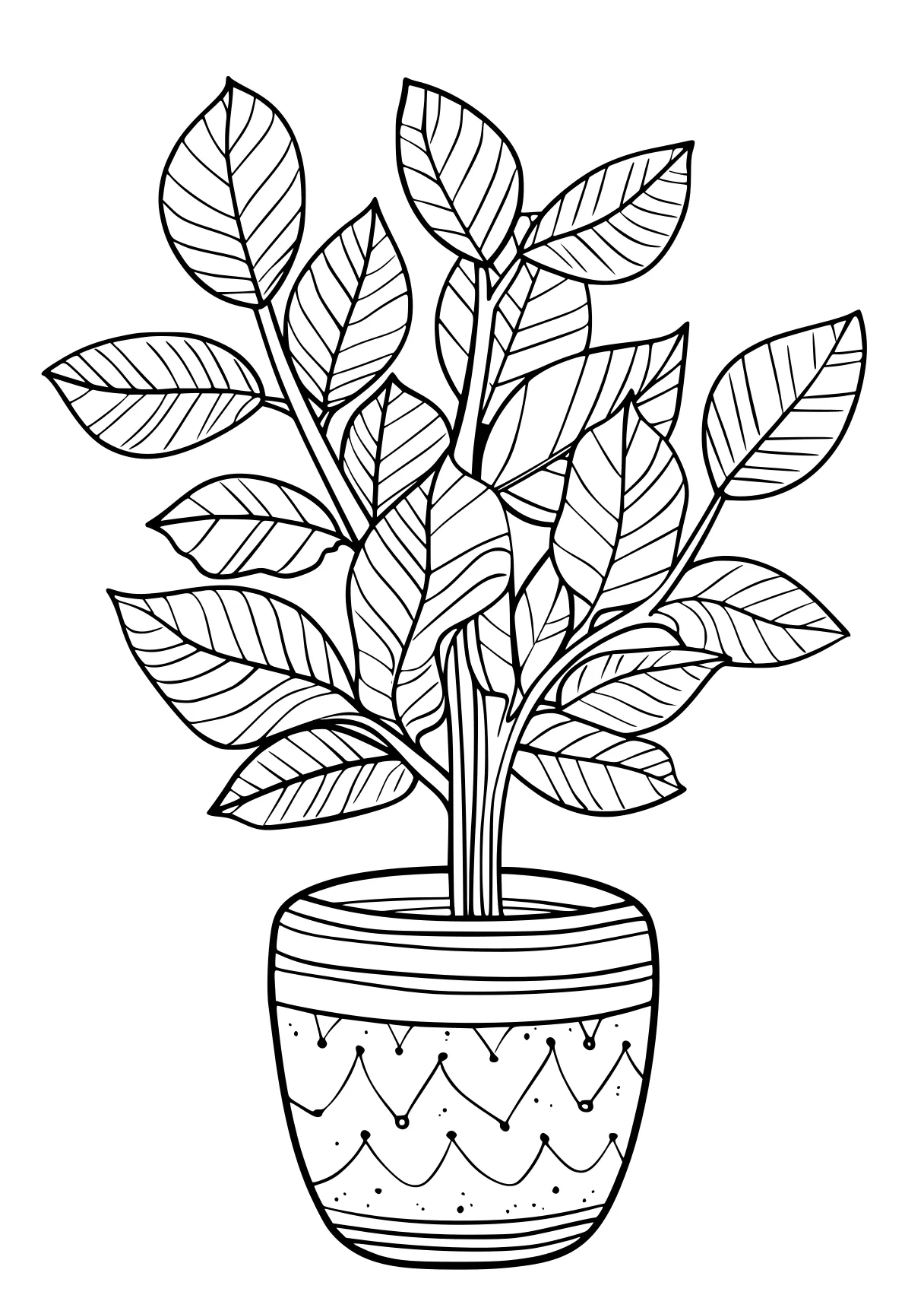 plant coloring pages plant, plants, wall, free page downloads