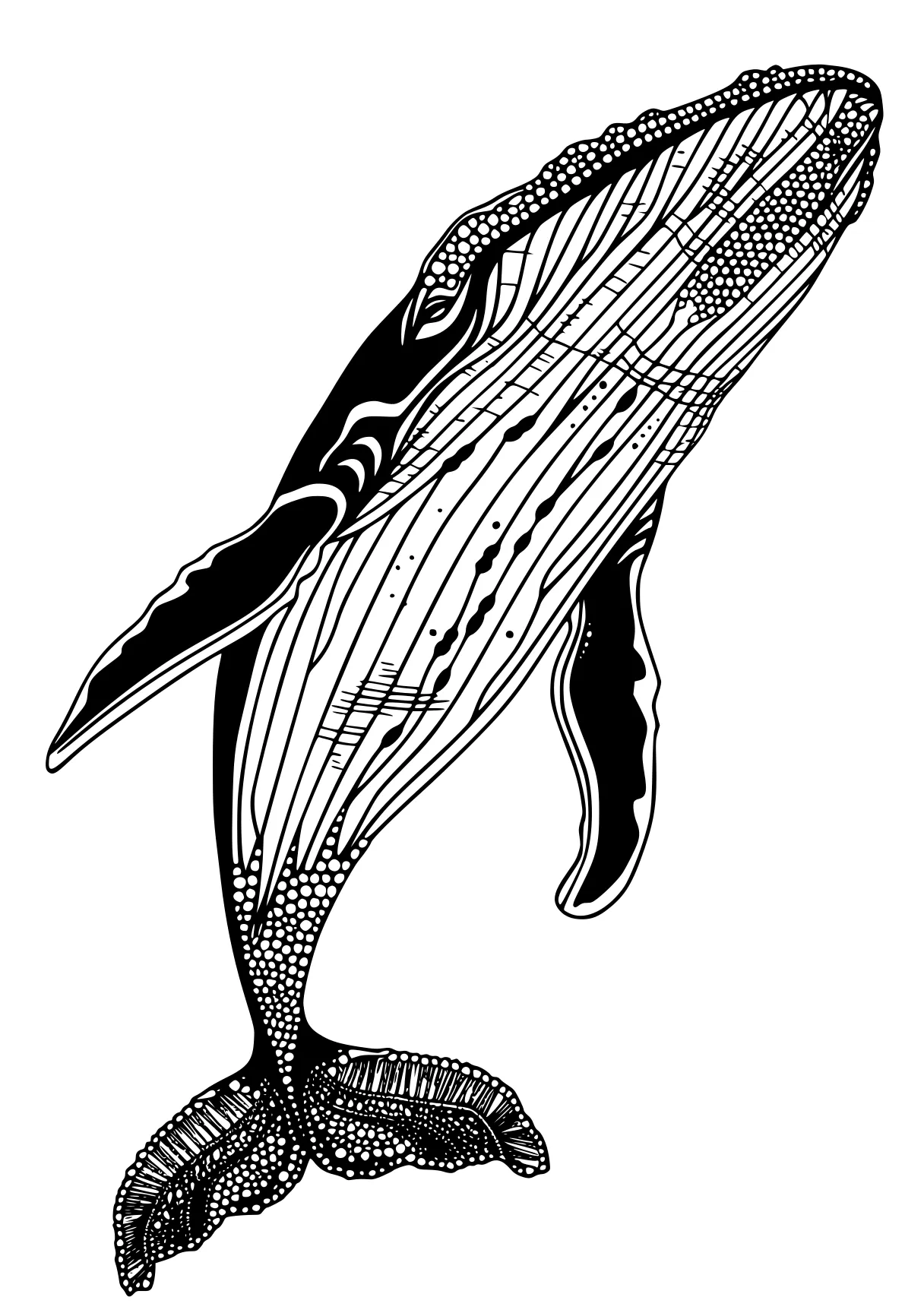 whale coloring pages orca, whale, whales, dolphin, mosasaurus, free page downloads