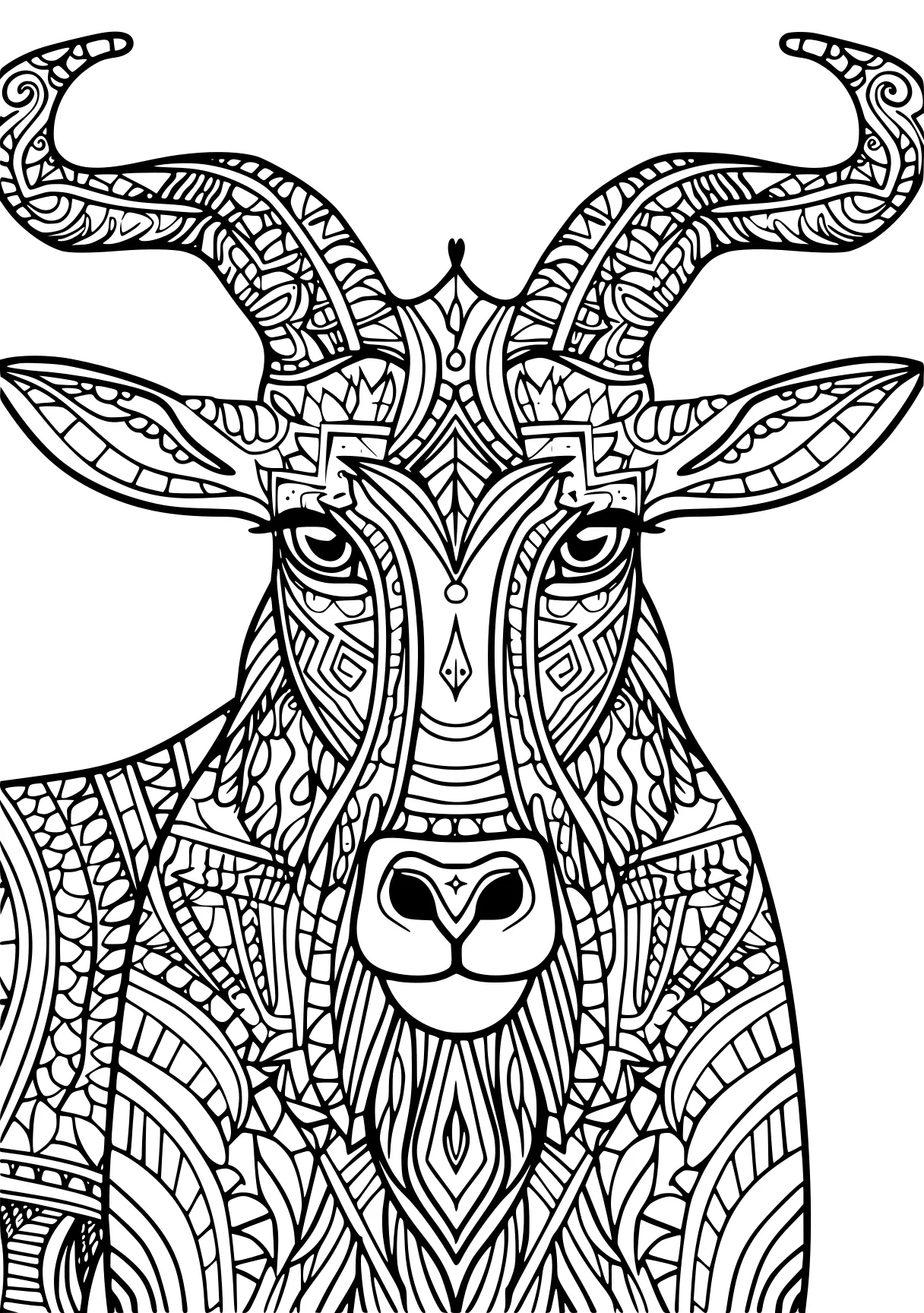 animal coloring pages for adults, deer, zentangle, illustrator, free page downloads