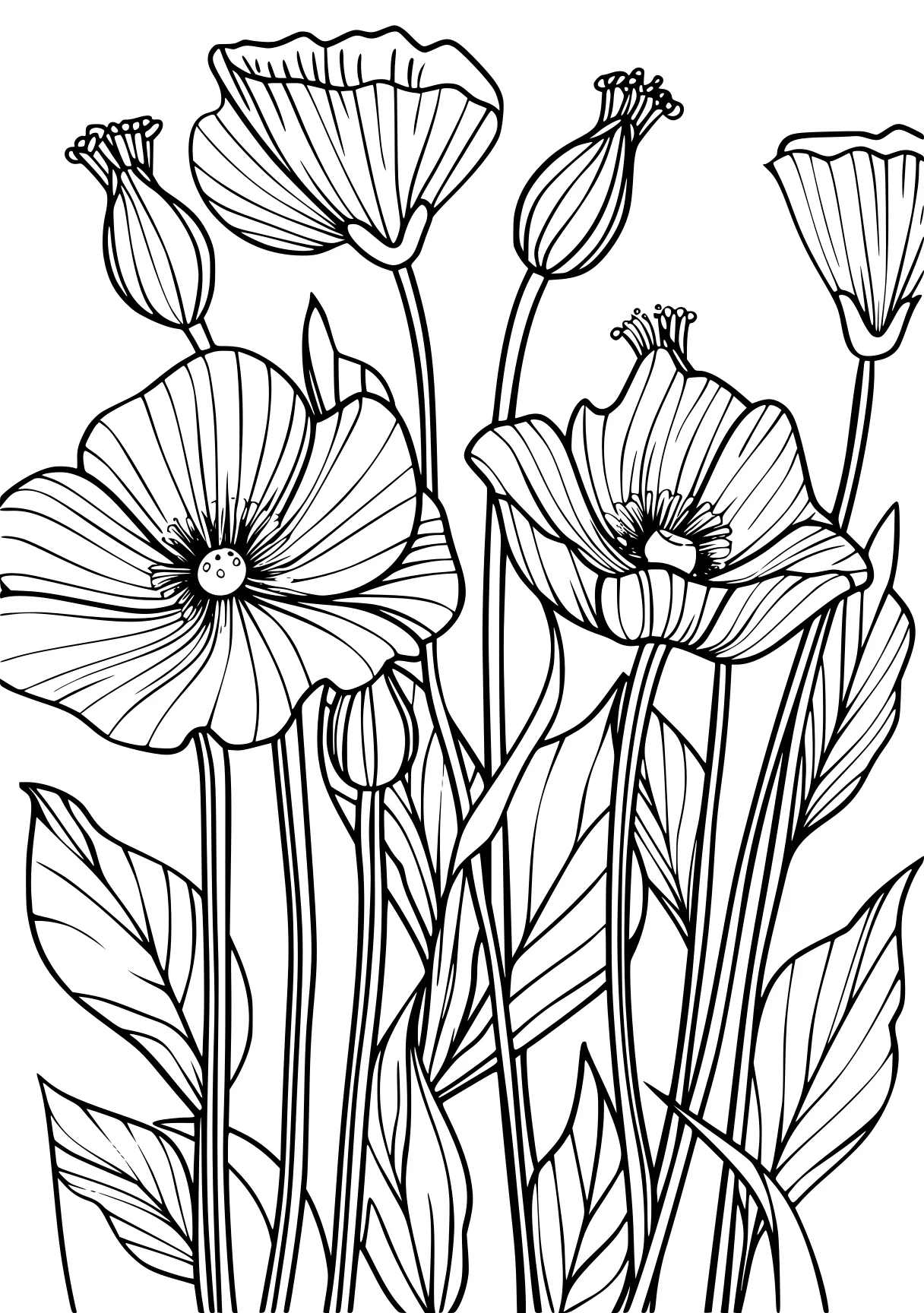 flower coloring, tulip, colouring, flowers, free page downloads