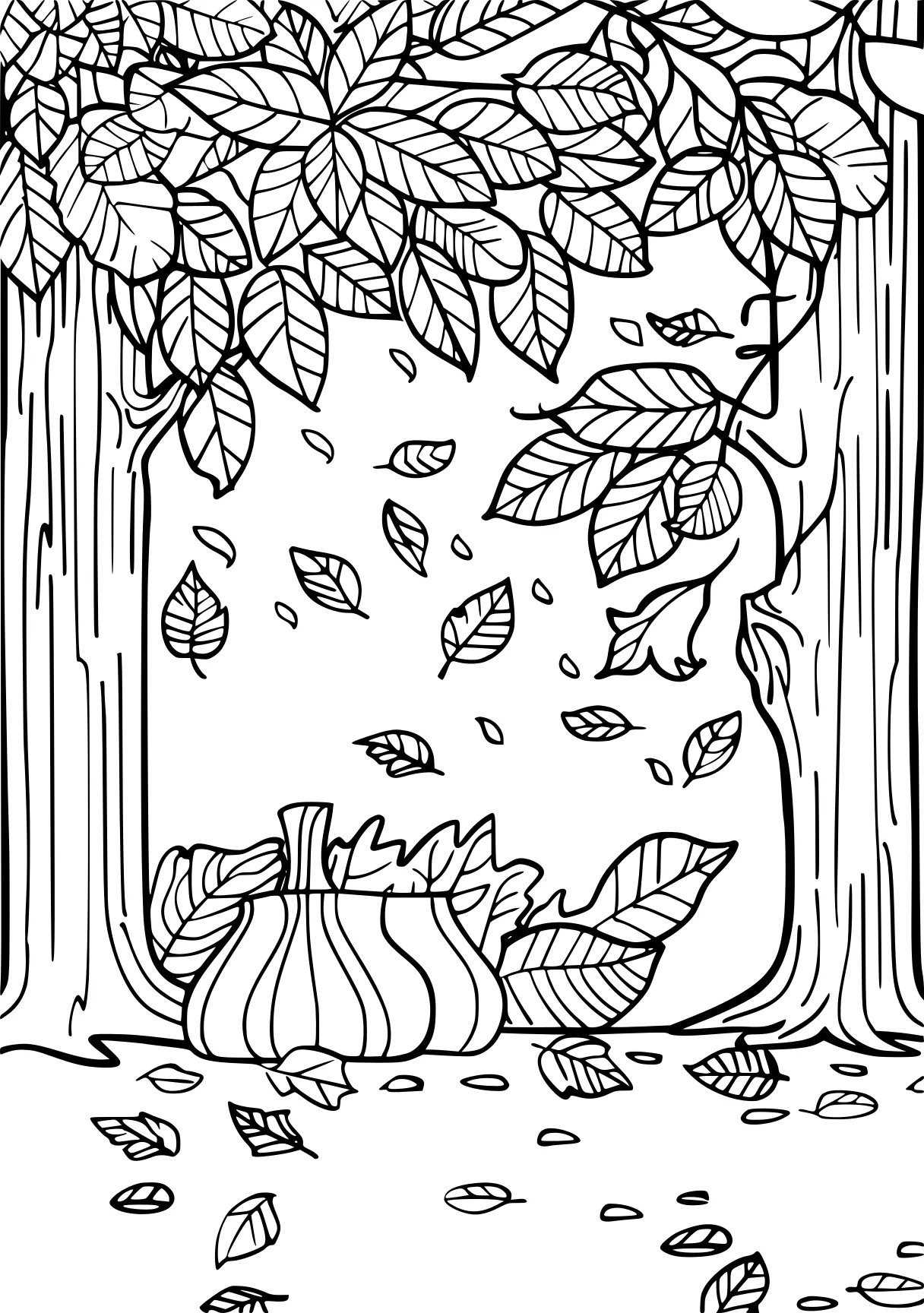 coloring pages for autumn, fall, acorn, autumn, free page downloads