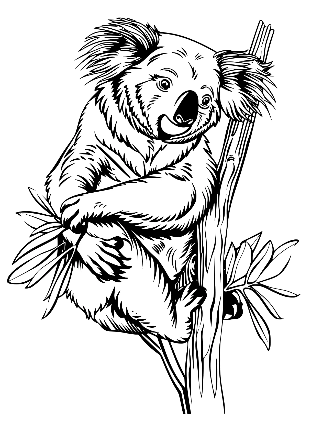 koala coloring pages koala, bear, sloth, polar, bears, free page downloads