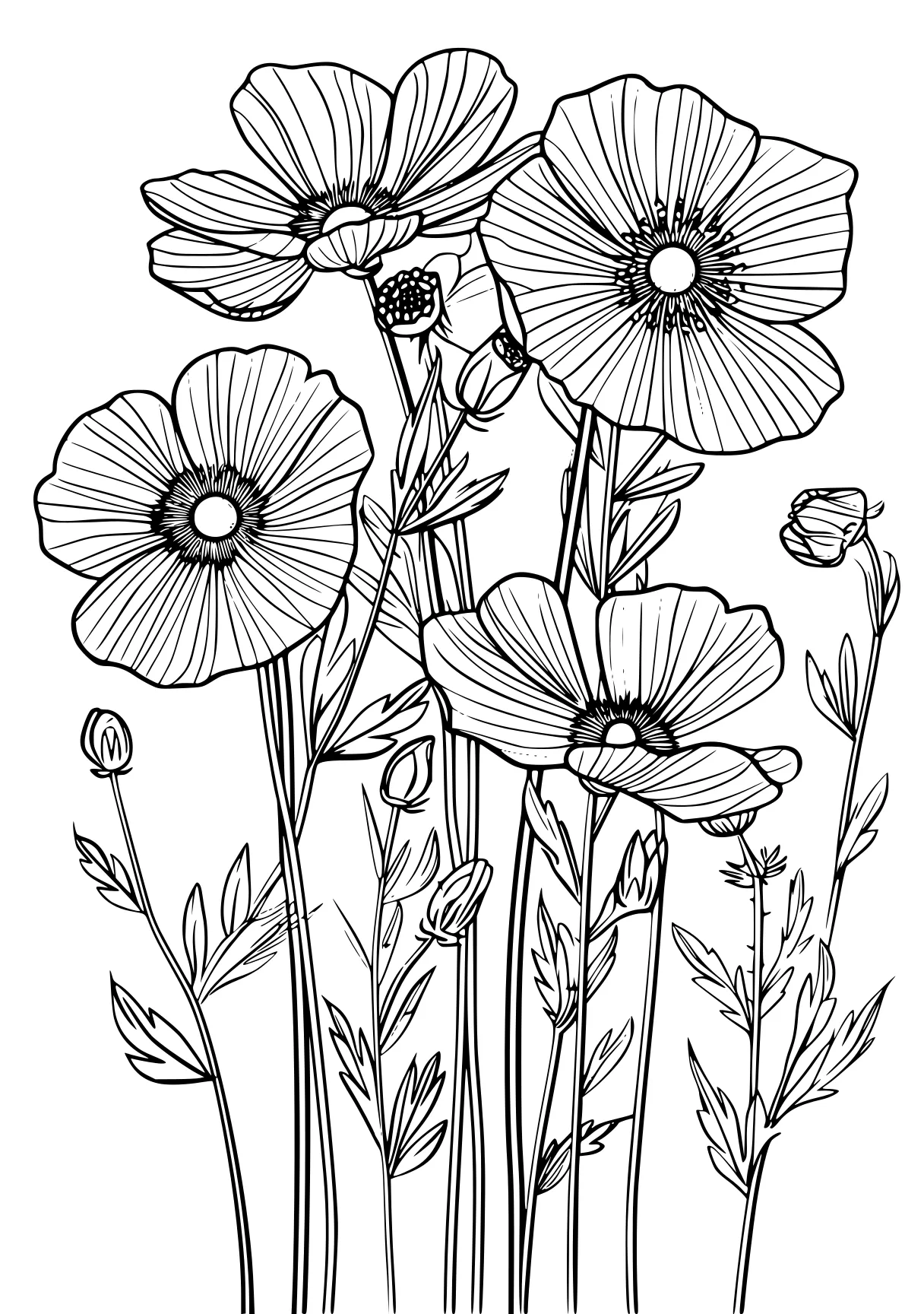 flower coloring pages for adults, flowers, zentangle, colouring, free page downloads