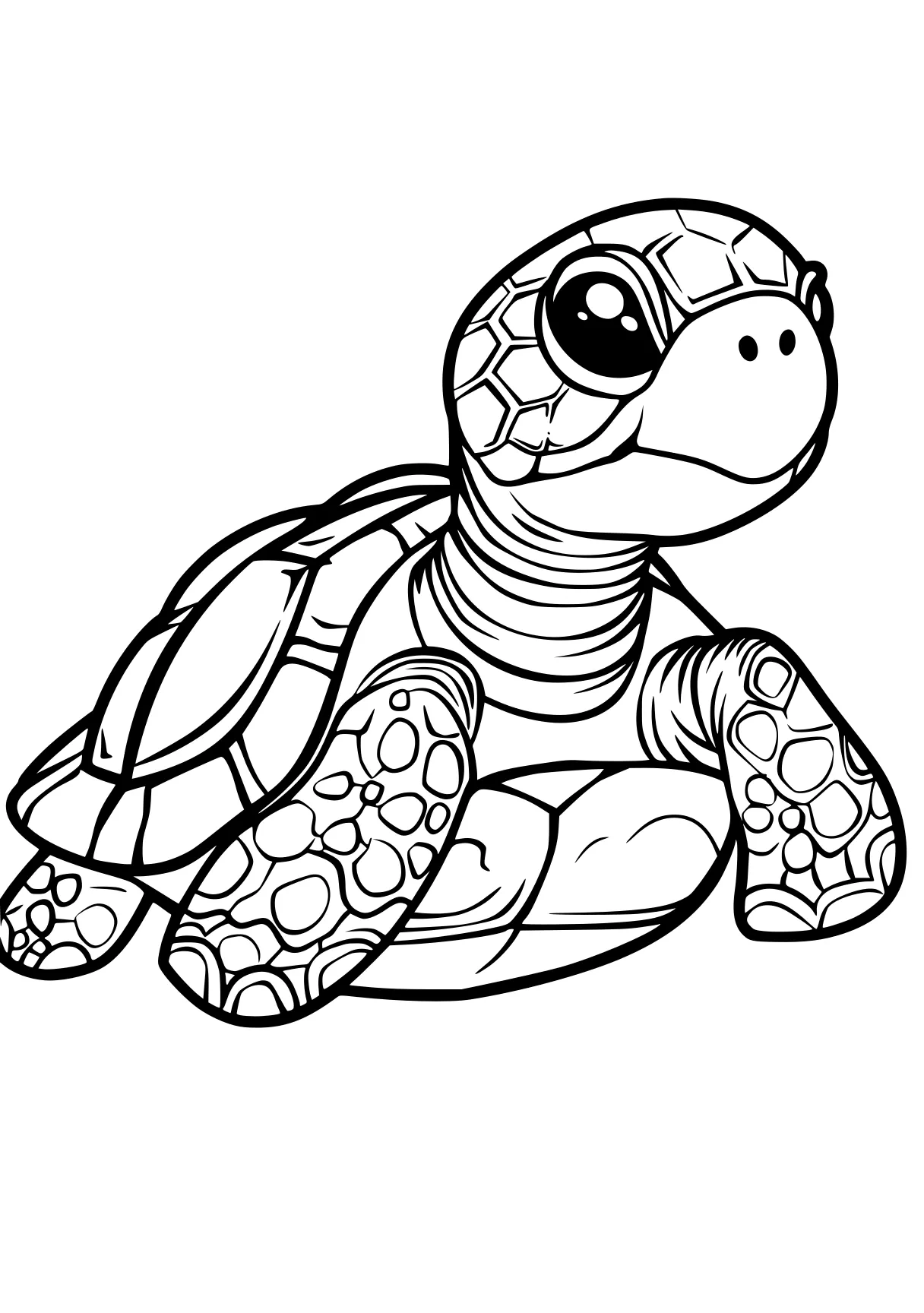 turtle pictures to color turtle, squirtle, turtles, blastoise, free coloring page downloads