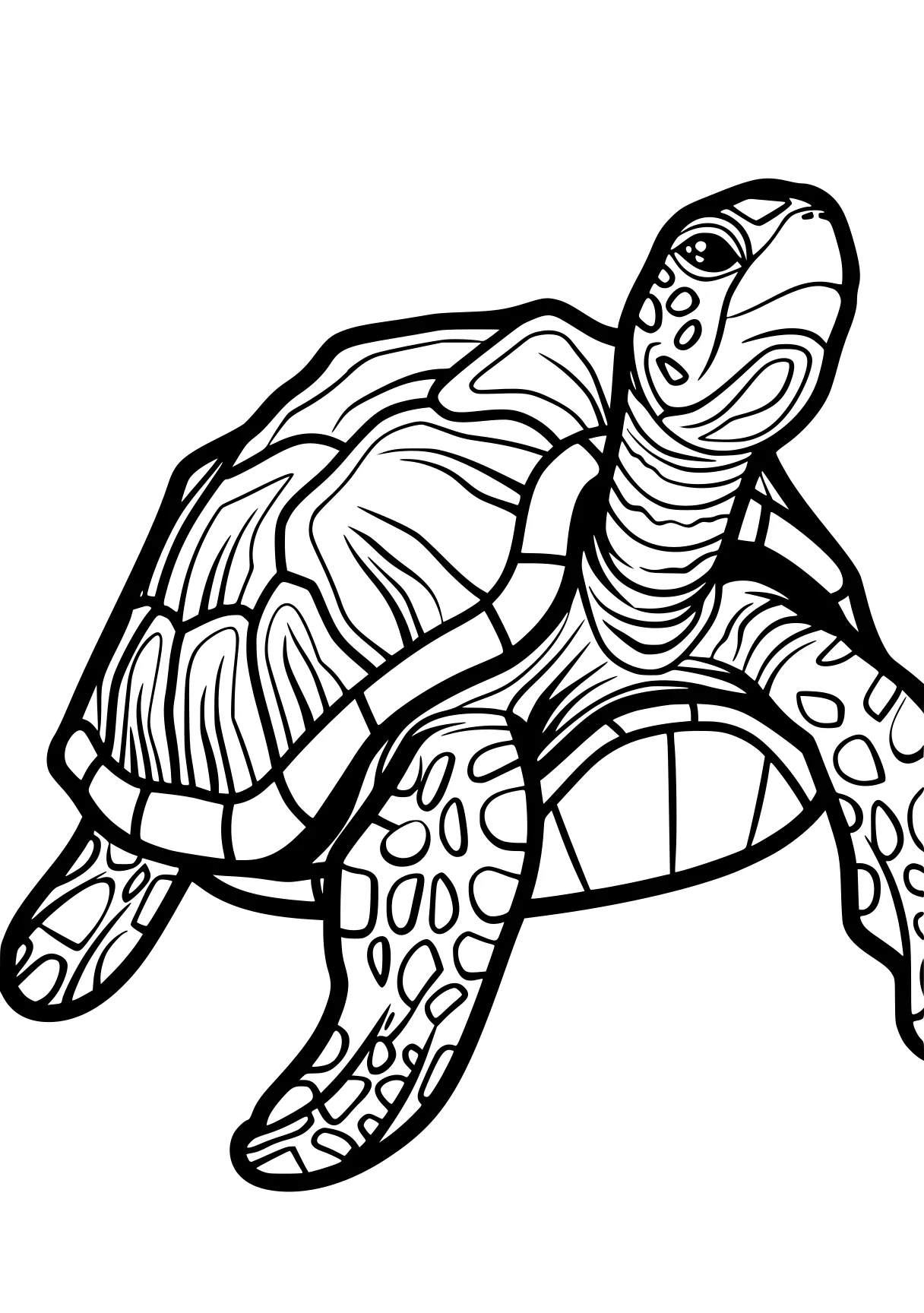 turtle coloring sheet turtle, turtles, patrol, ankylosaurus, illustrator, free page downloads