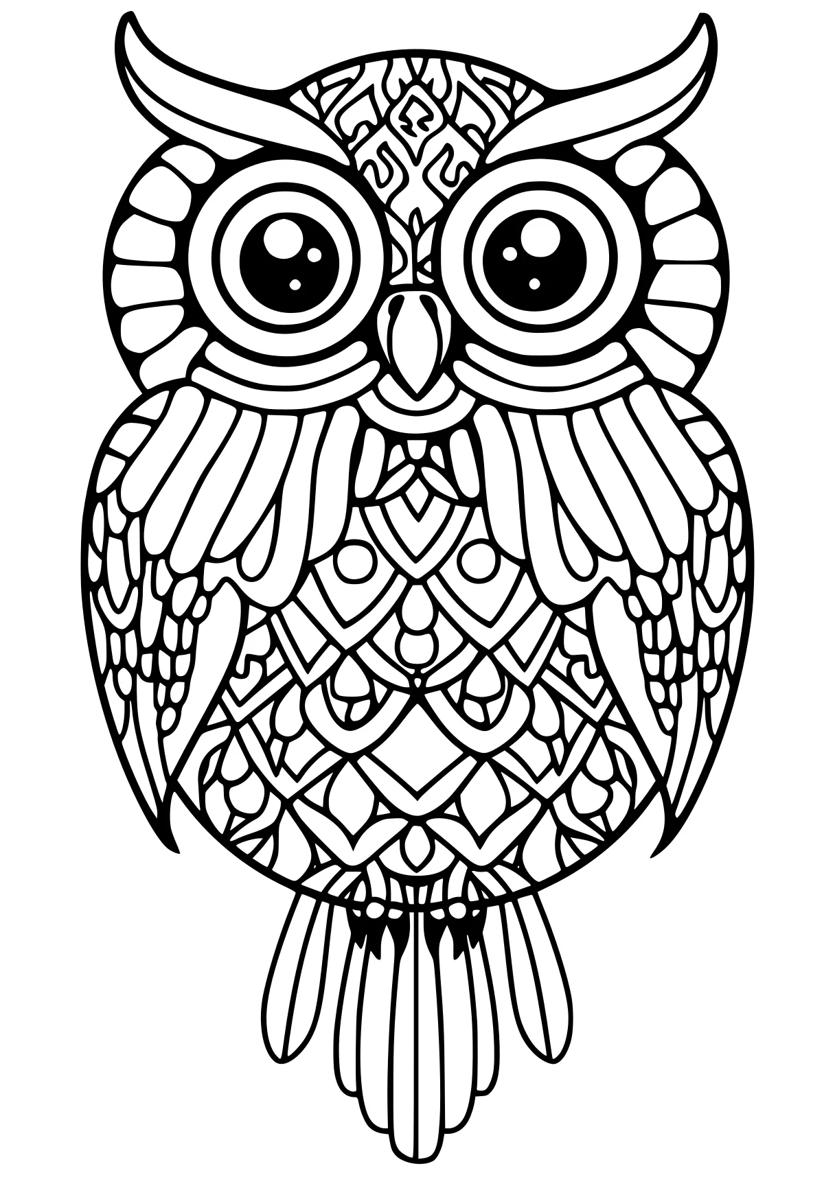 number coloring pages owl, illustrator, colouring, free page downloads