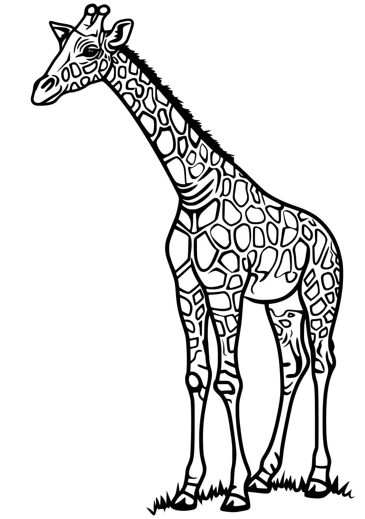 giraffe coloring brachiosaurus, giraffe, llama, camel, dino, free page downloads