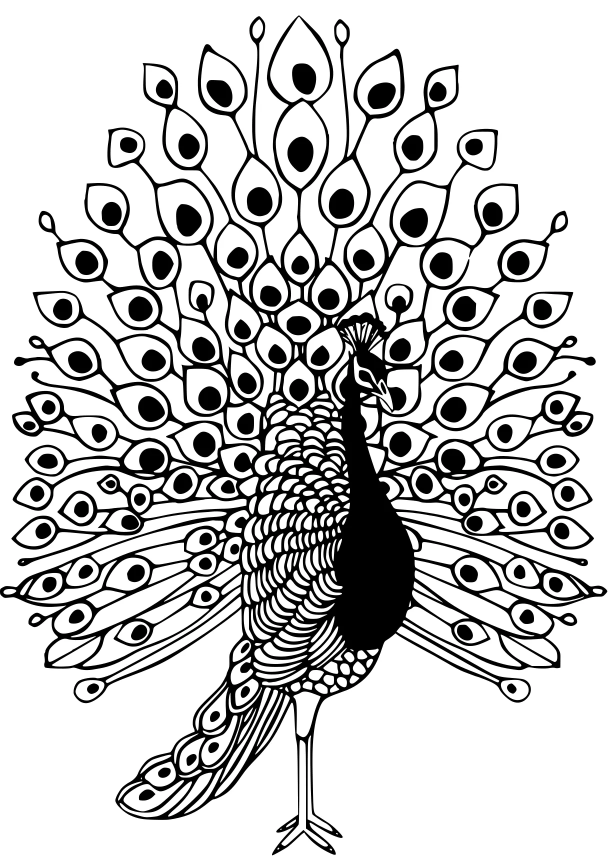 peacock coloring peacock, zentangle, feathers, owl, free page downloads