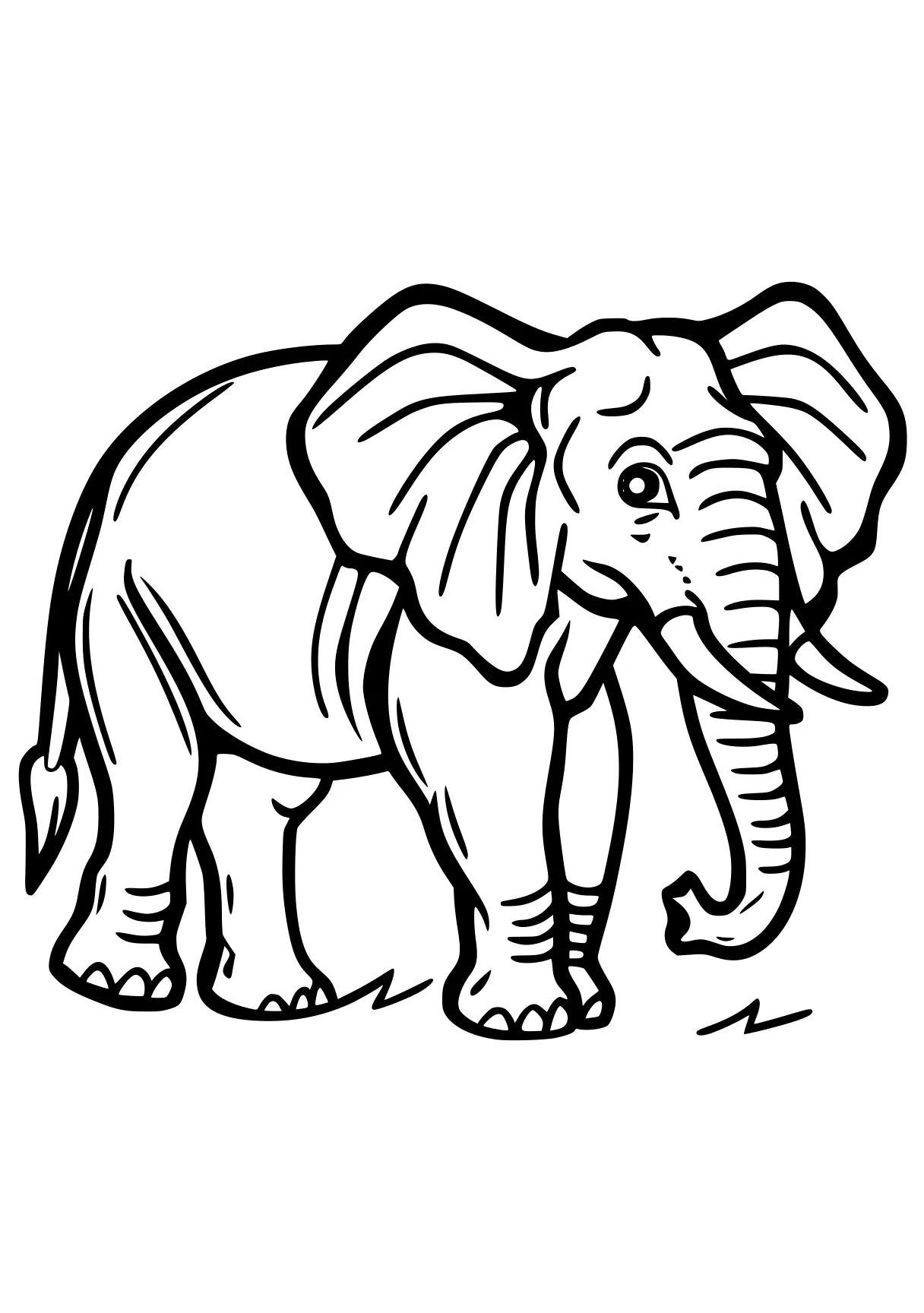 elephant coloring sheet elephant, dumbo, illustrator, size, zooba, free page downloads