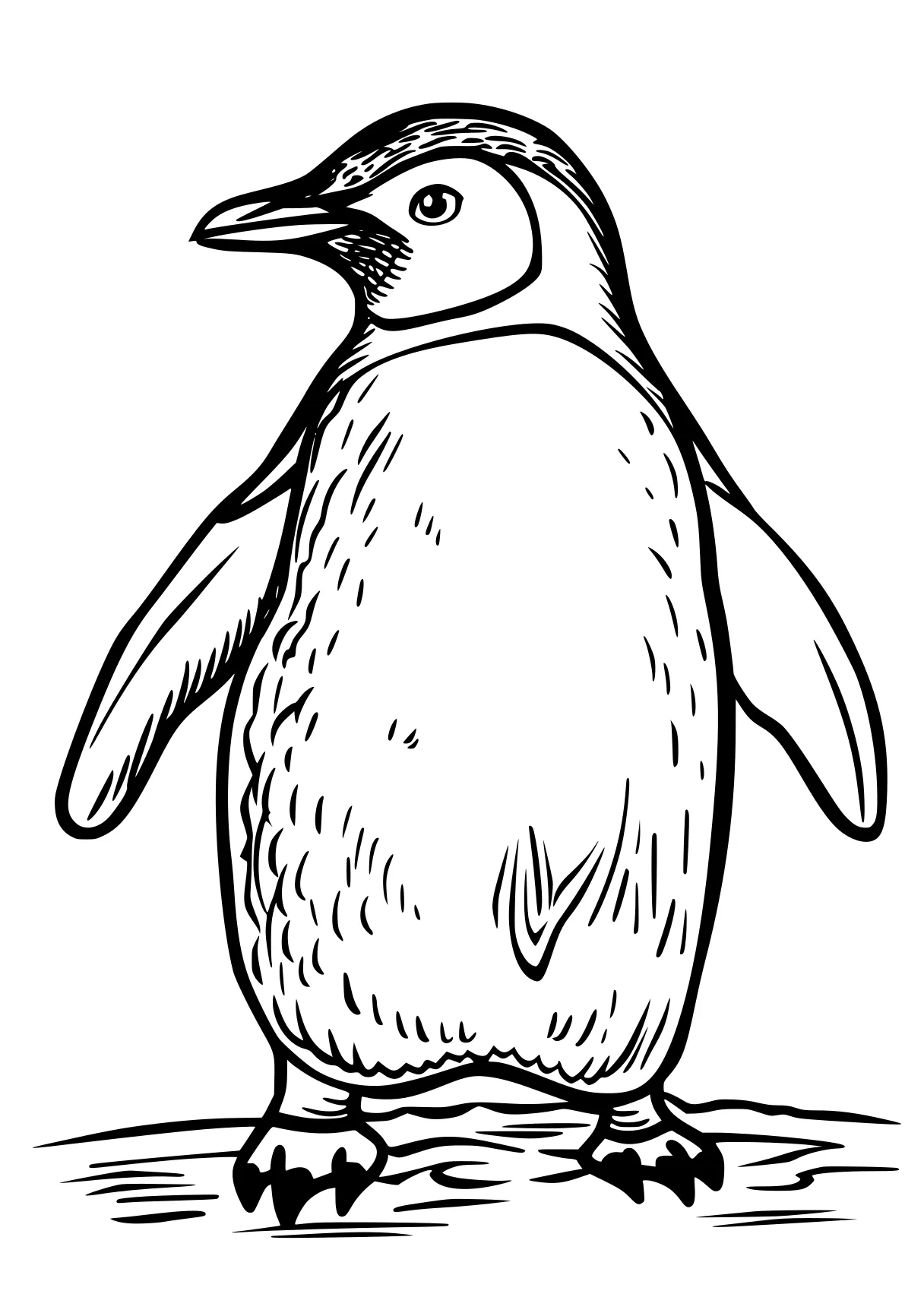 penguin coloring sheet penguin, toucan, wan, zooba, size, free page downloads