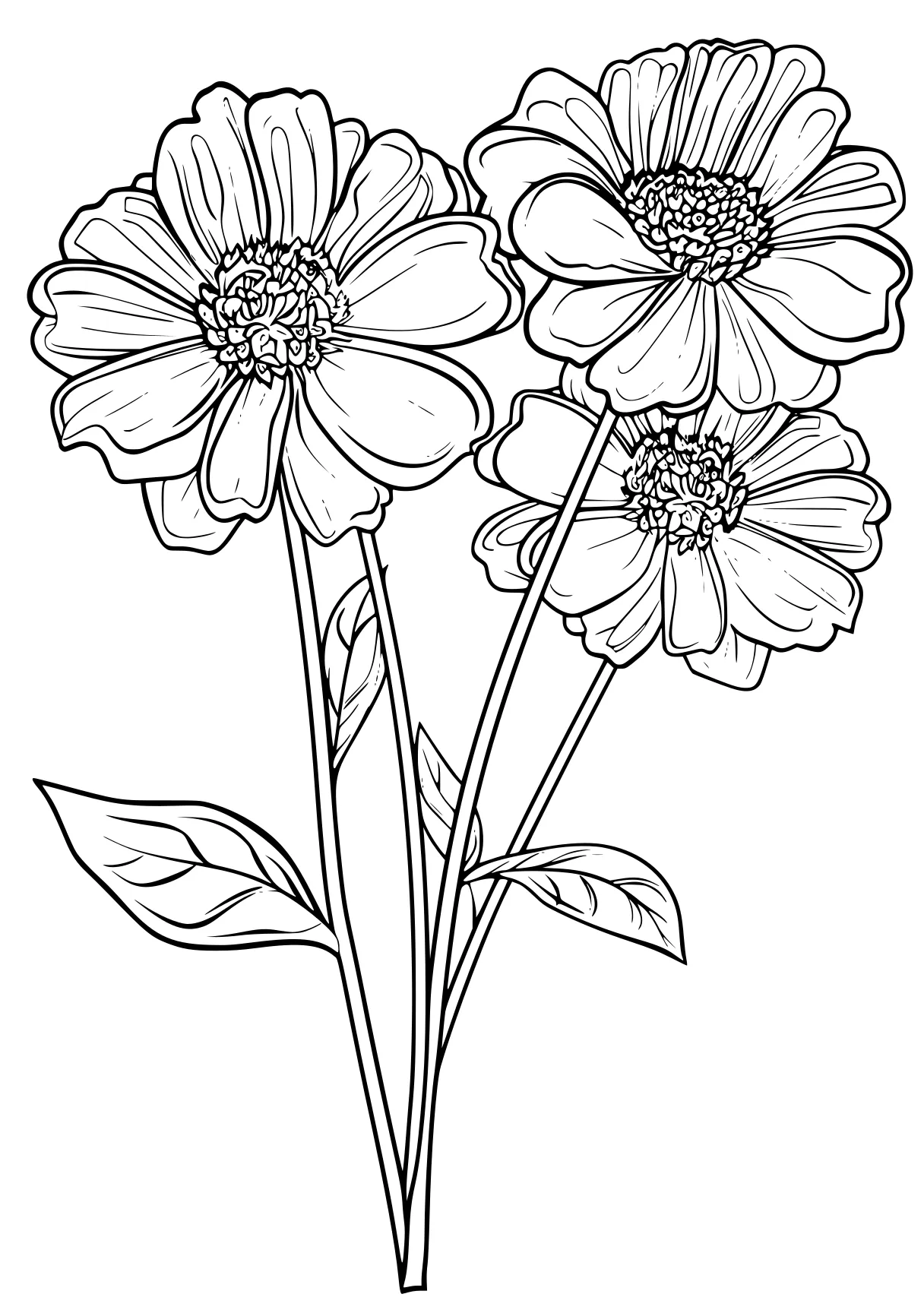 flower coloring pages for adults, flower, flowers, daisy, free page downloads