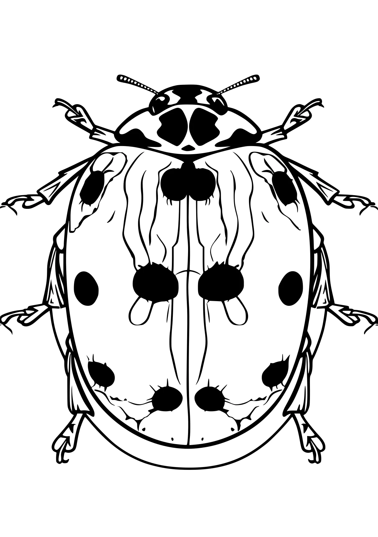 miraculous ladybug colouring pages ladybug, insects, insect, bee, bugs, free coloring page downloads