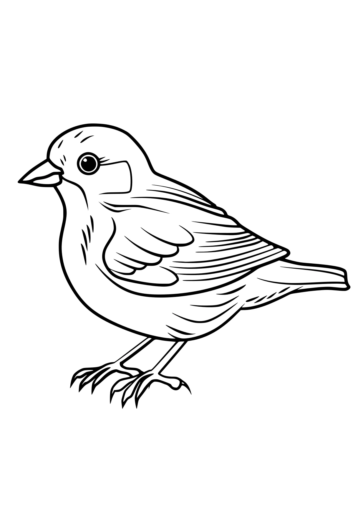 bird coloring pages bird, cardinal, adult, birds, robin, free page downloads