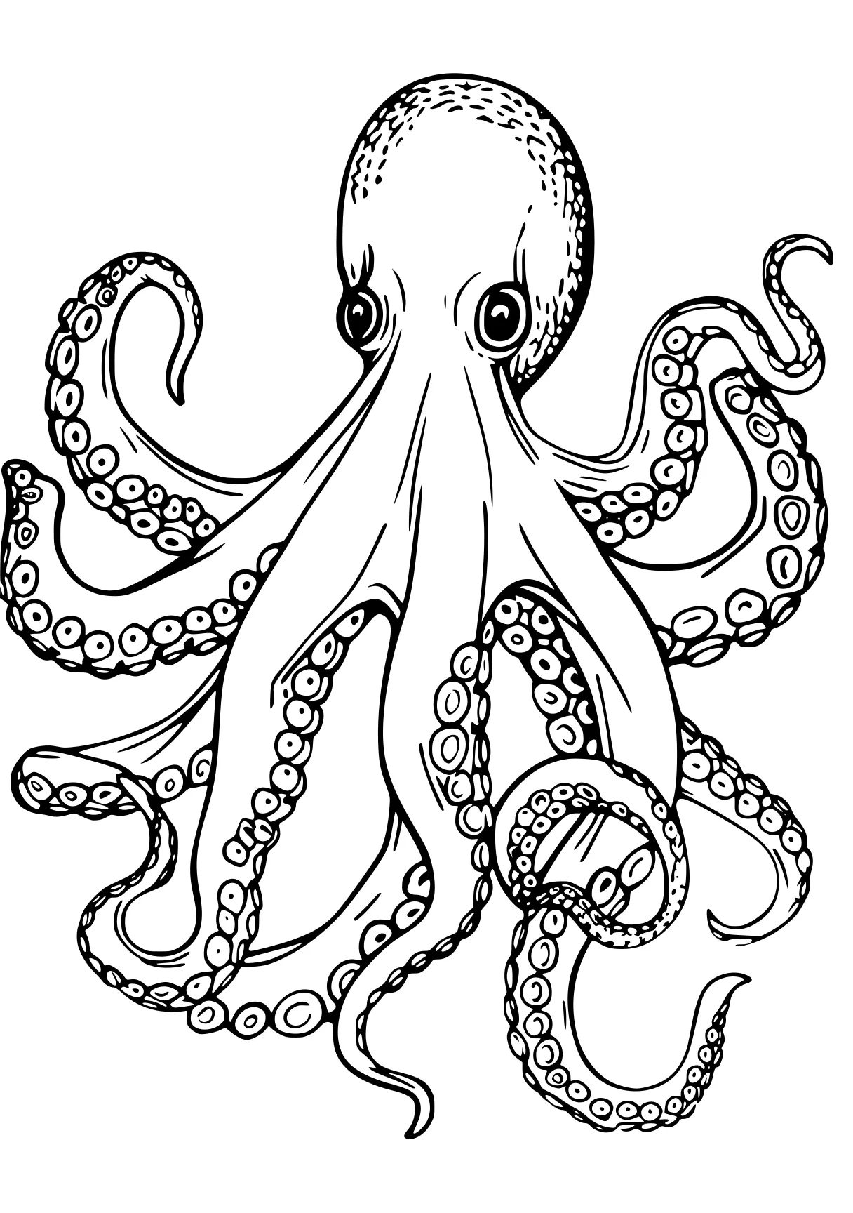 octopus coloring page octopus, illustrator, patrol, free downloads