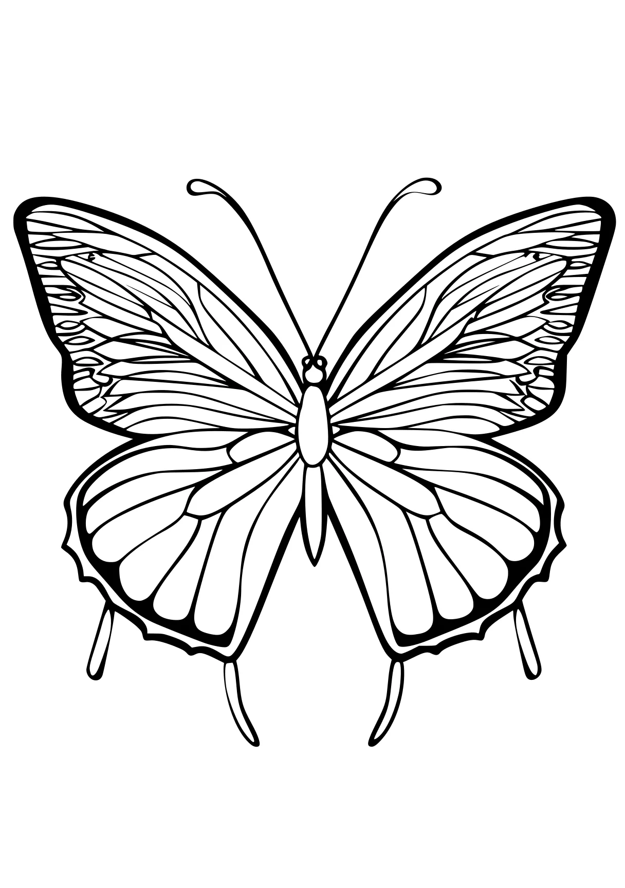 butterfly coloring pages butterfly, butterflies, insect, free page downloads