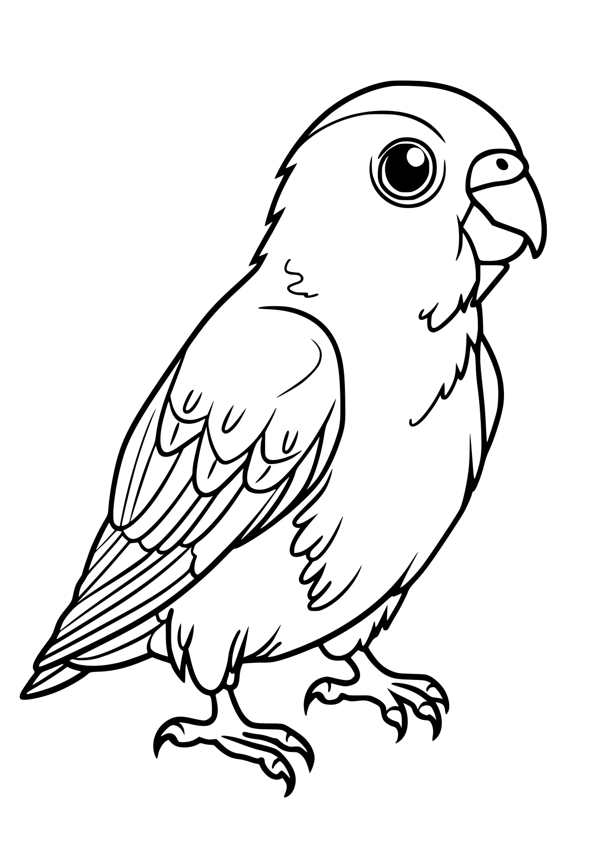 bird coloring pages owl, bird, eagle, adult, free page downloads