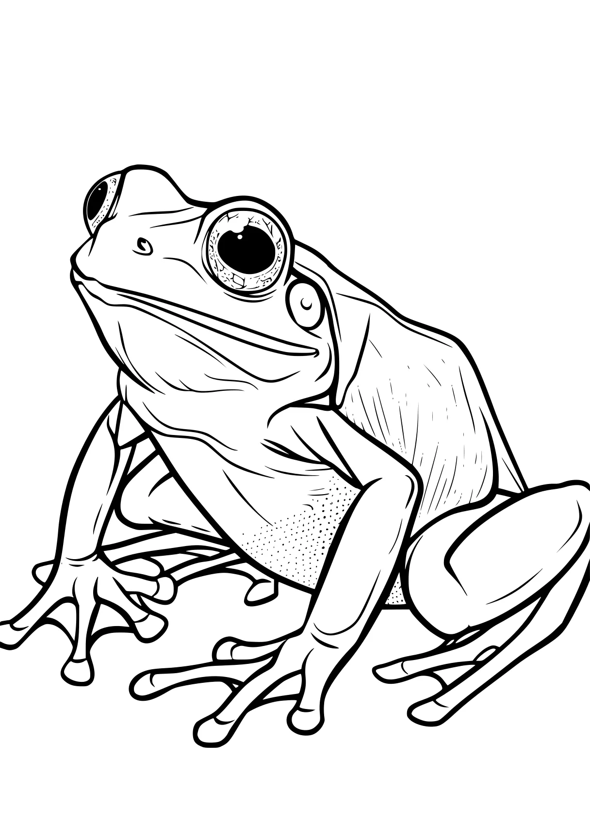 frog coloring pages frog, toad, goo, a4, pet, free page downloads