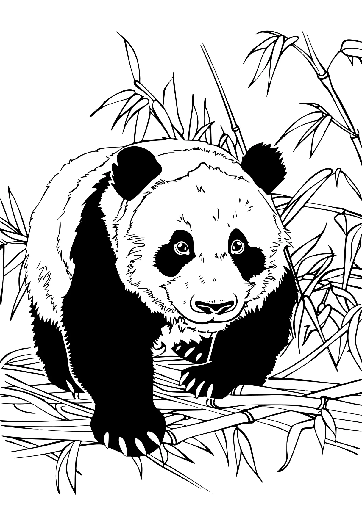 panda coloring sheet panda, bear, kung, illustrator, wan, free page downloads